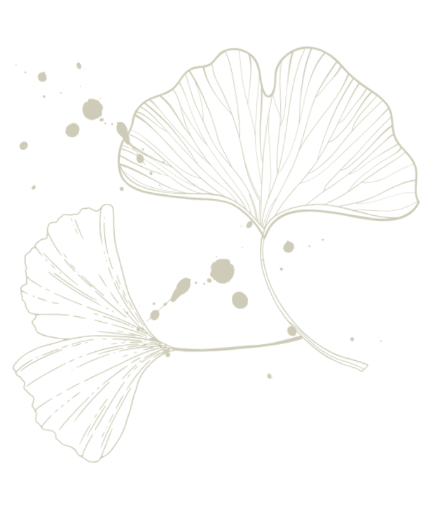 Schwarz-weiße Illustration von Ginkgoblättern mit Tintenflecken auf schwarzem Hintergrund.