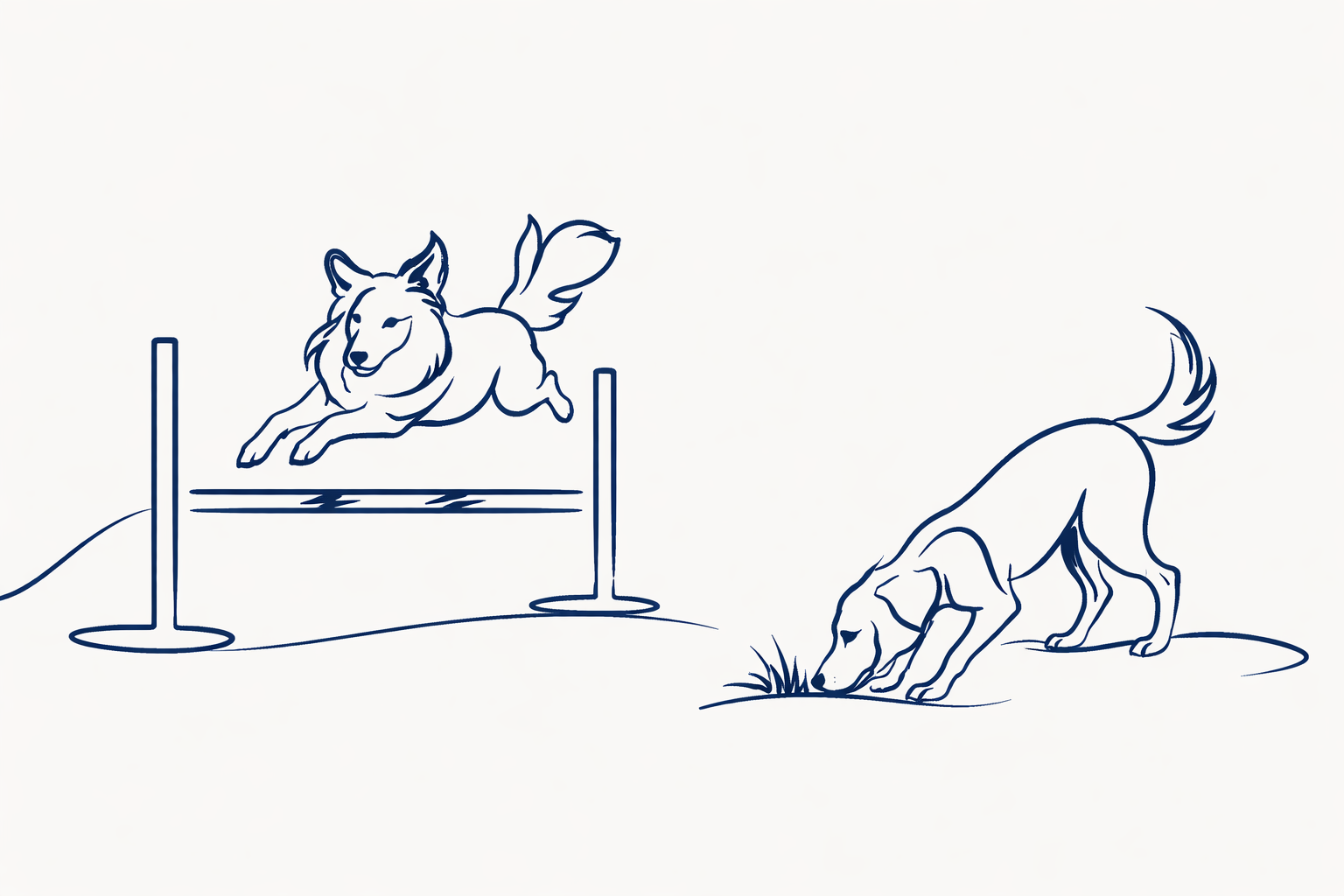 Line drawing of a dog jumping over a hurdle and another dog sniffing the ground nearby.