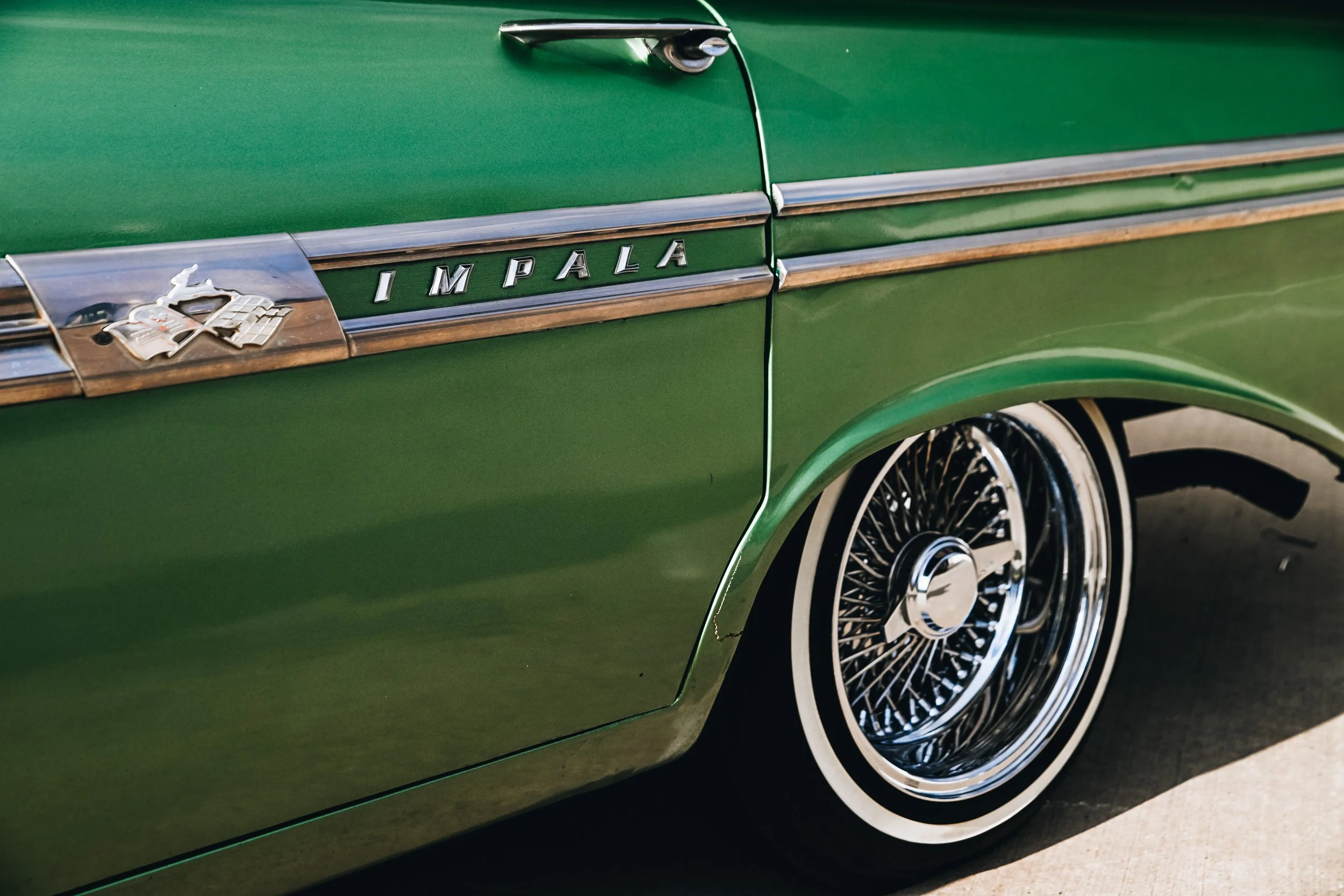 Magic of Lights Content Day 2024-3086.jpg