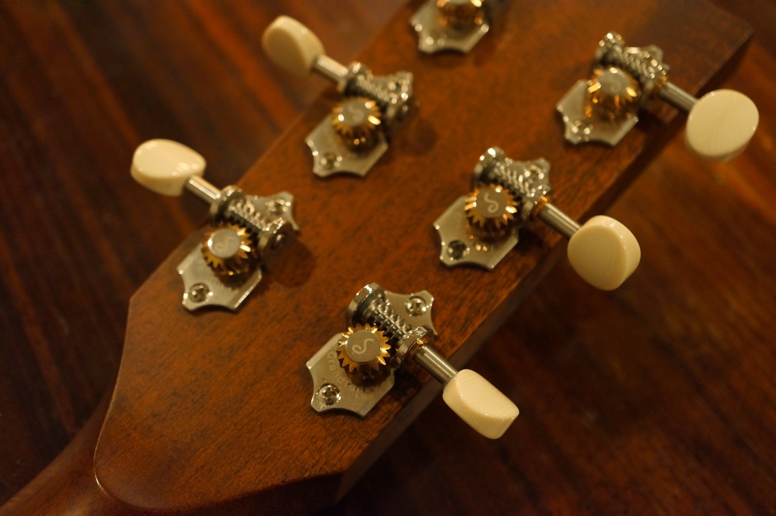 GA7(Circle Strings + Schaller).JPG