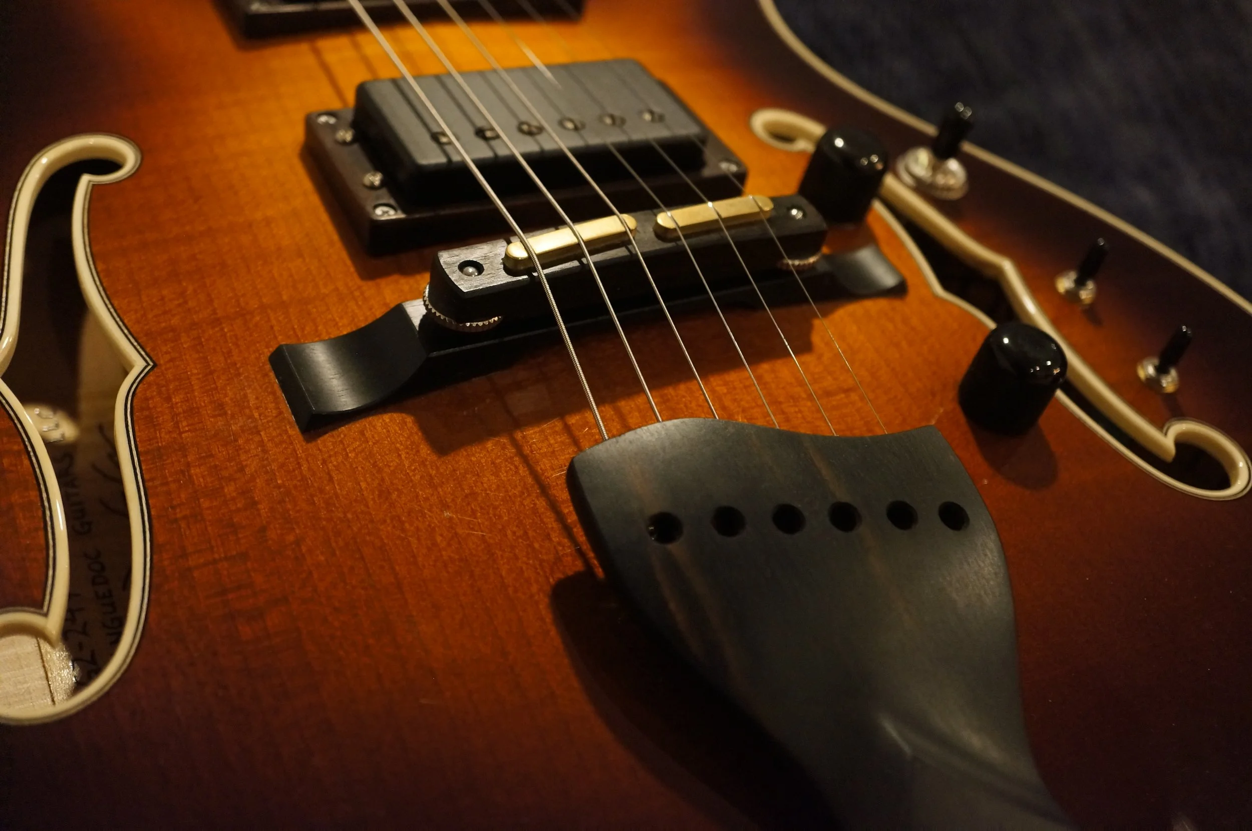 GA9(Languedoc + Seymour Duncan).JPG