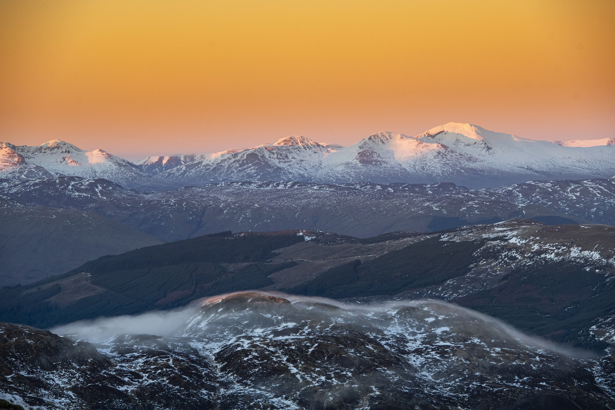 11LVL Pete Scullion.jpg