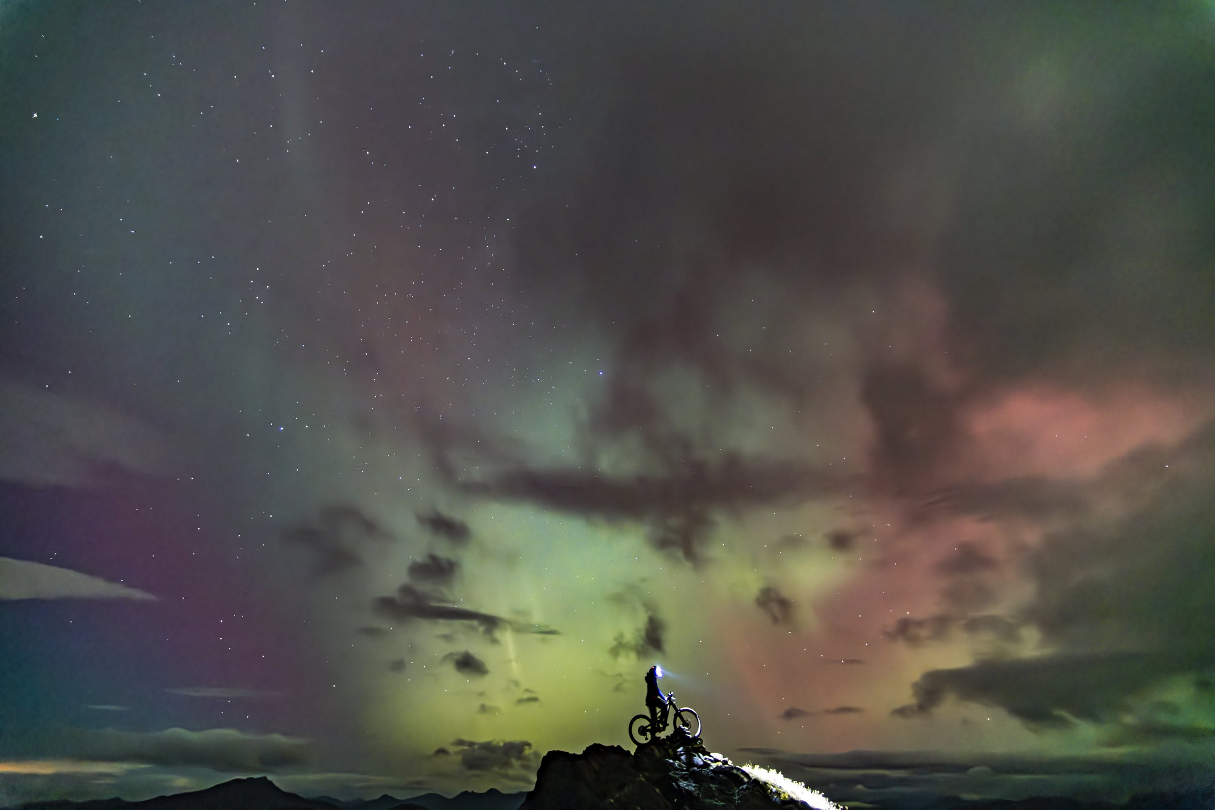 1LVL Pete Scullion.jpg