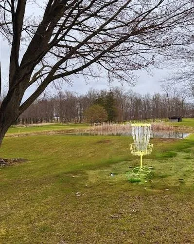 Disc golf basket near a pond on a grassy field with trees in the background, during overcast weather.