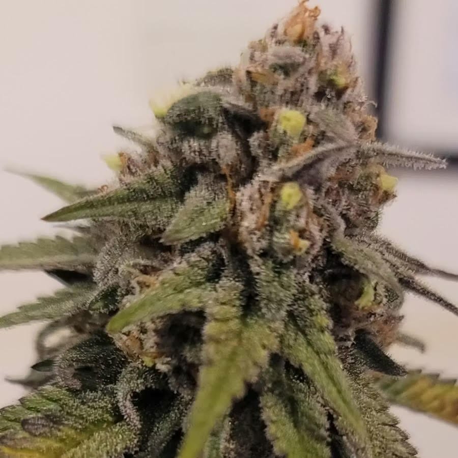 London Pound Cake