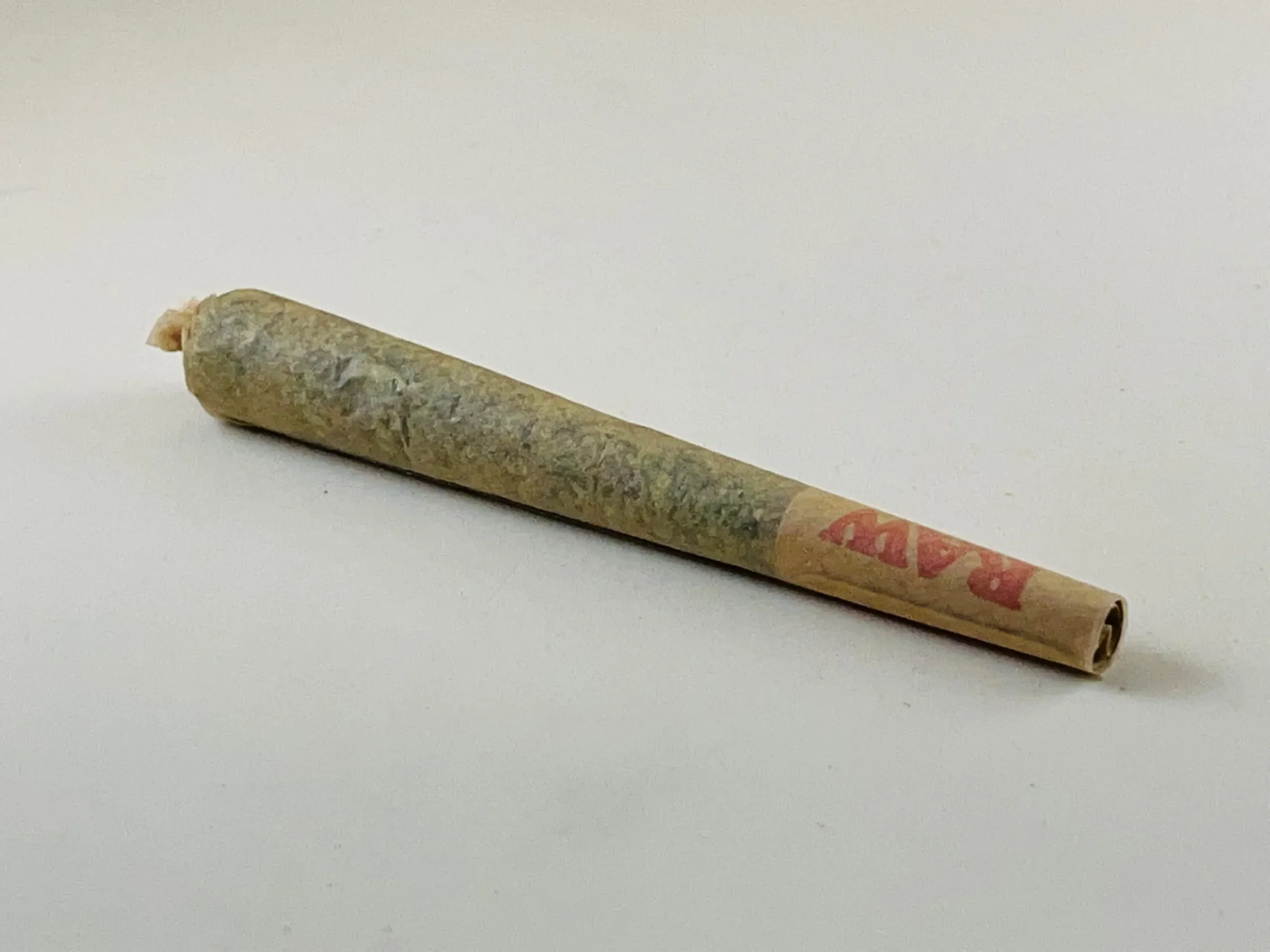 joint-scaled.webp