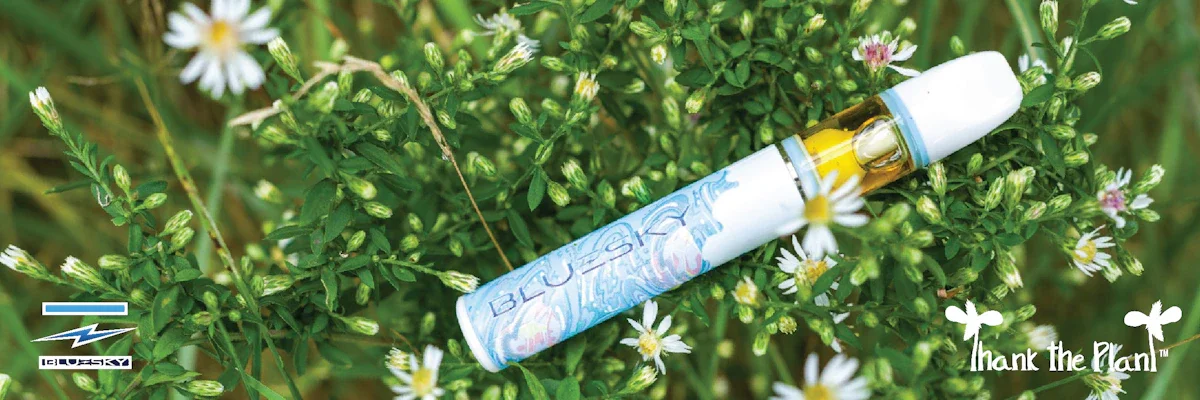 Blue Sky 1G Disposable Cartridges