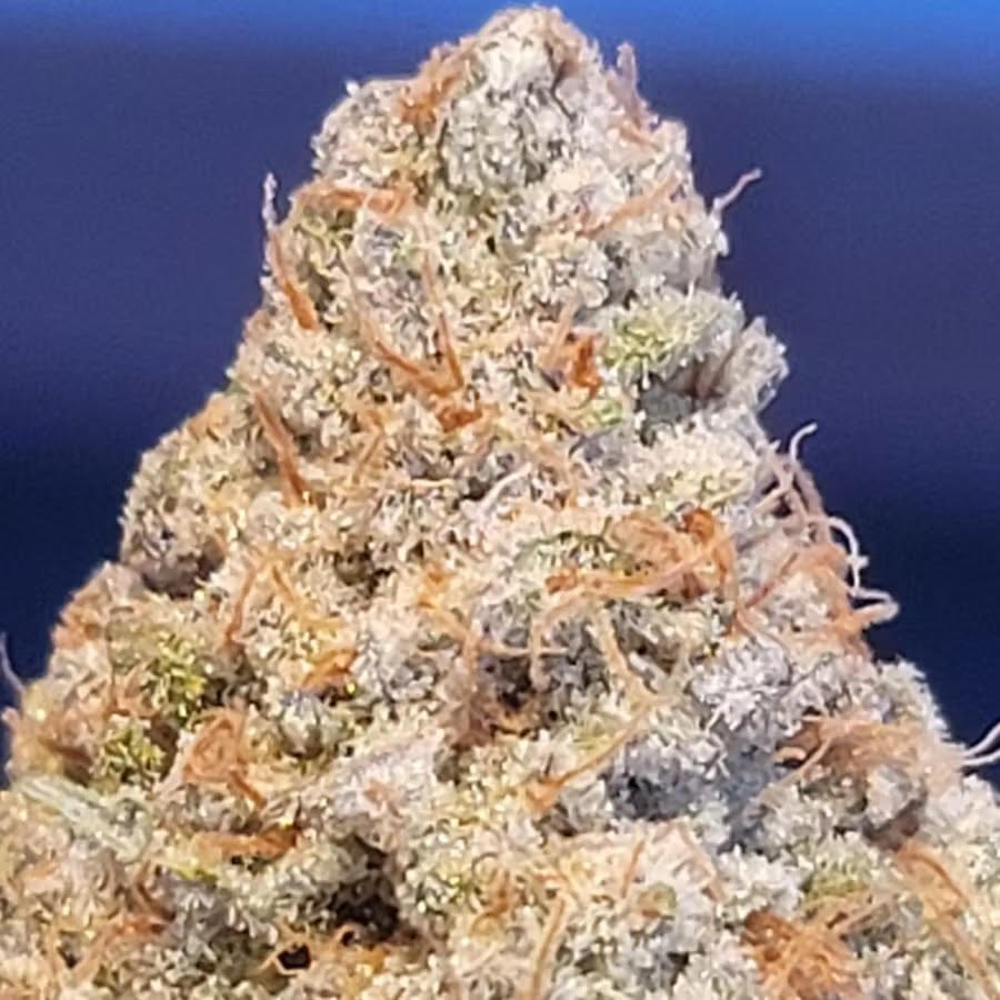 Peanut Butter Breath