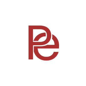 Personal Equity Framework logo created by Meg Charles for leadership and career alignment