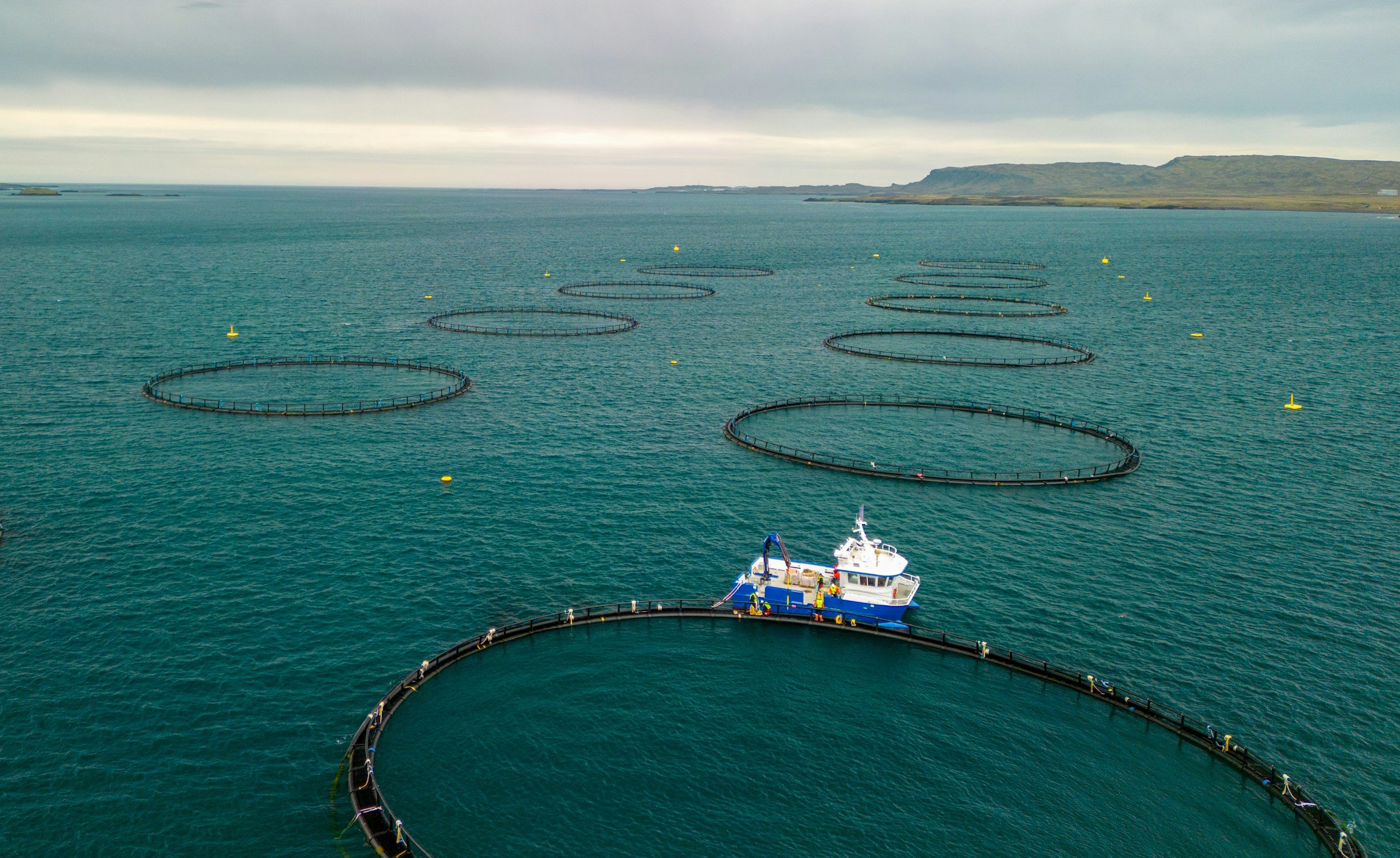 Fishing or aquaculture cages in the ocean with a support boat nearby, under a cloudy sky.