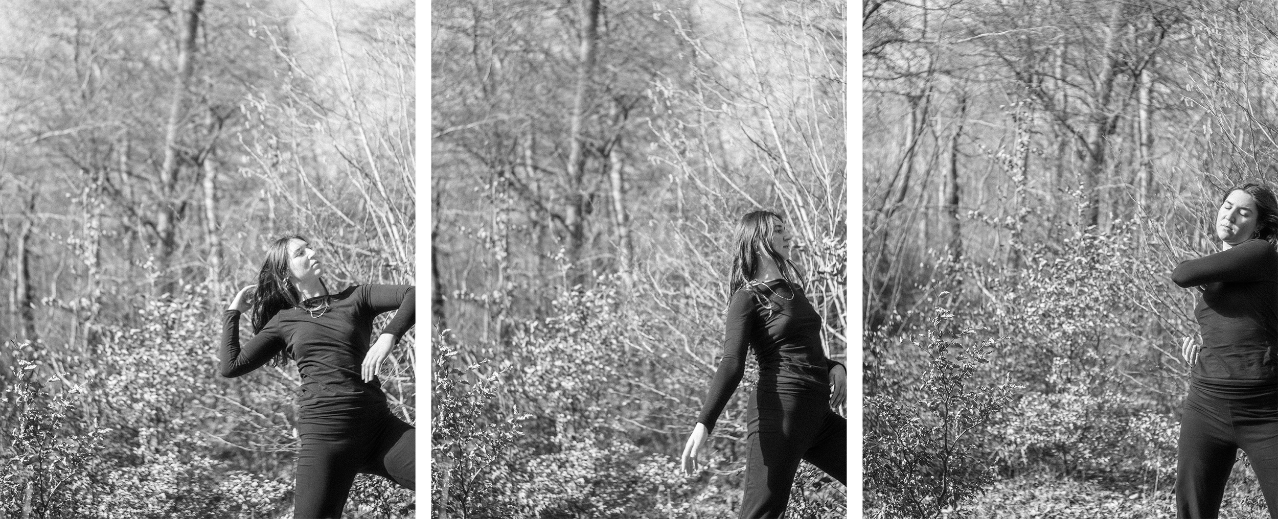 NedaYogi Triptych 1@0.5x.png