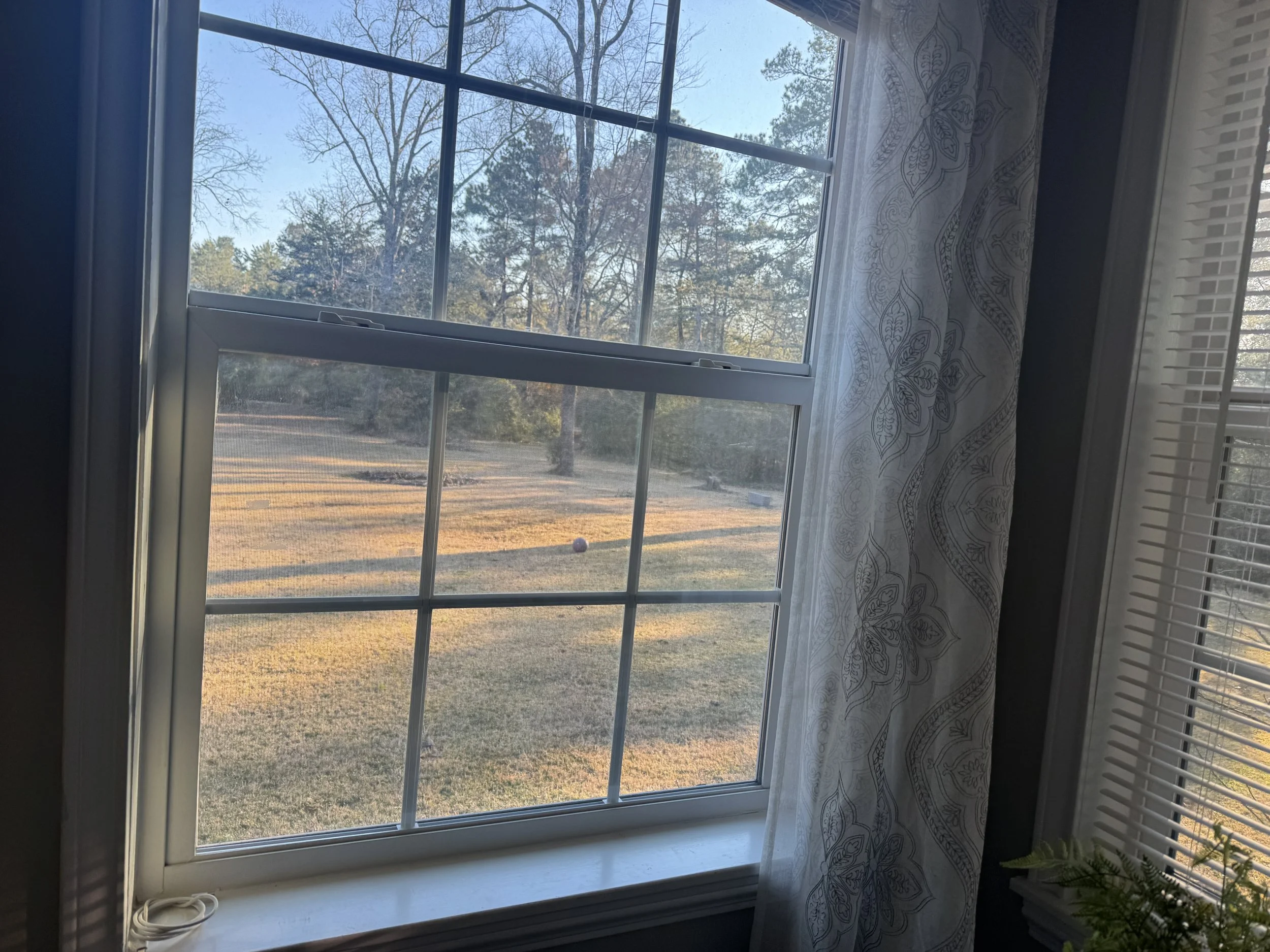 nana's baseboards/window