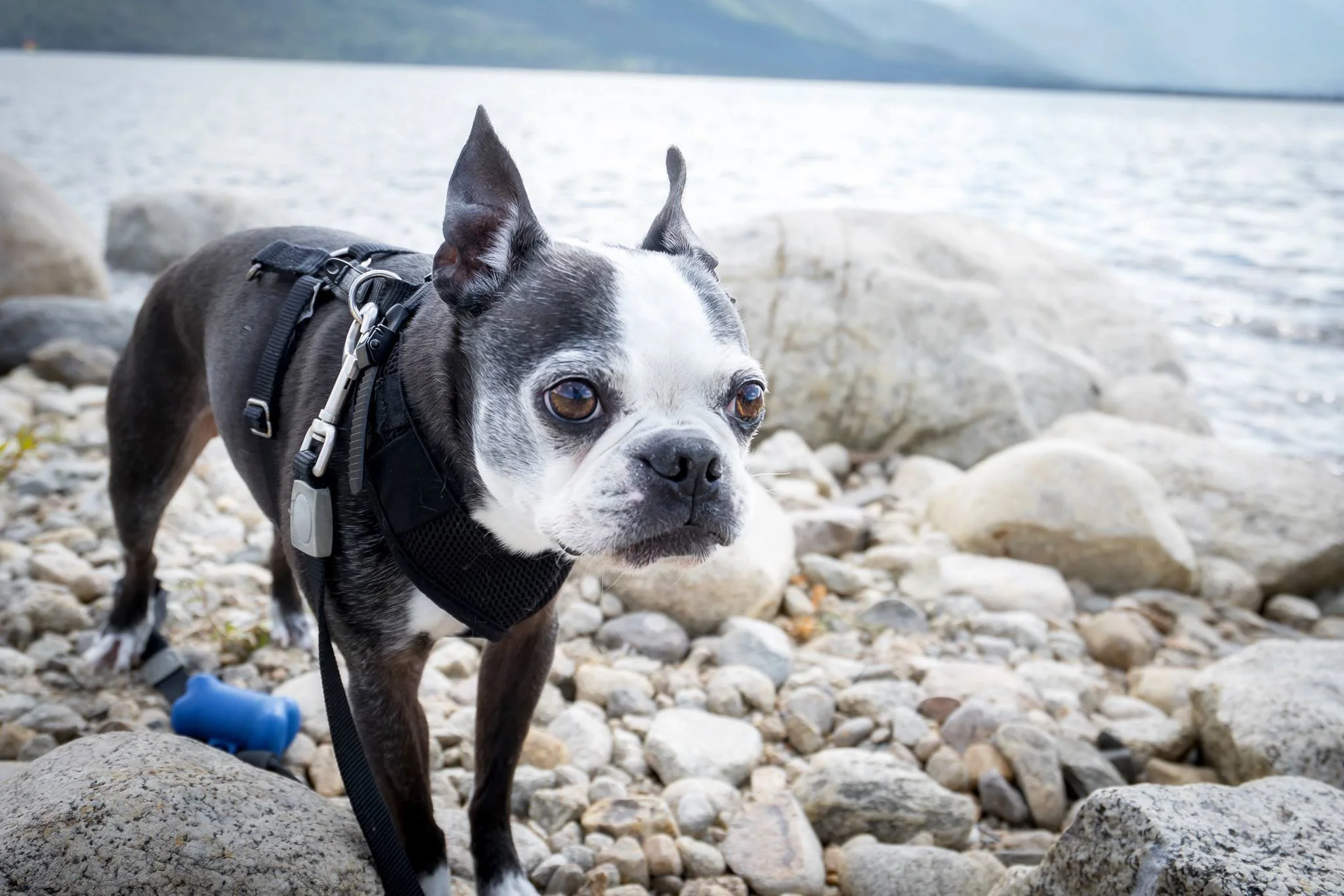 Murphy 2-2 - Copy.jpg