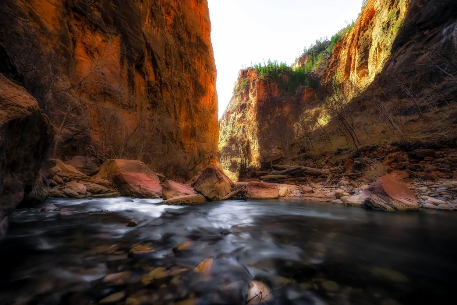 Nature and Landscapes-6.jpg