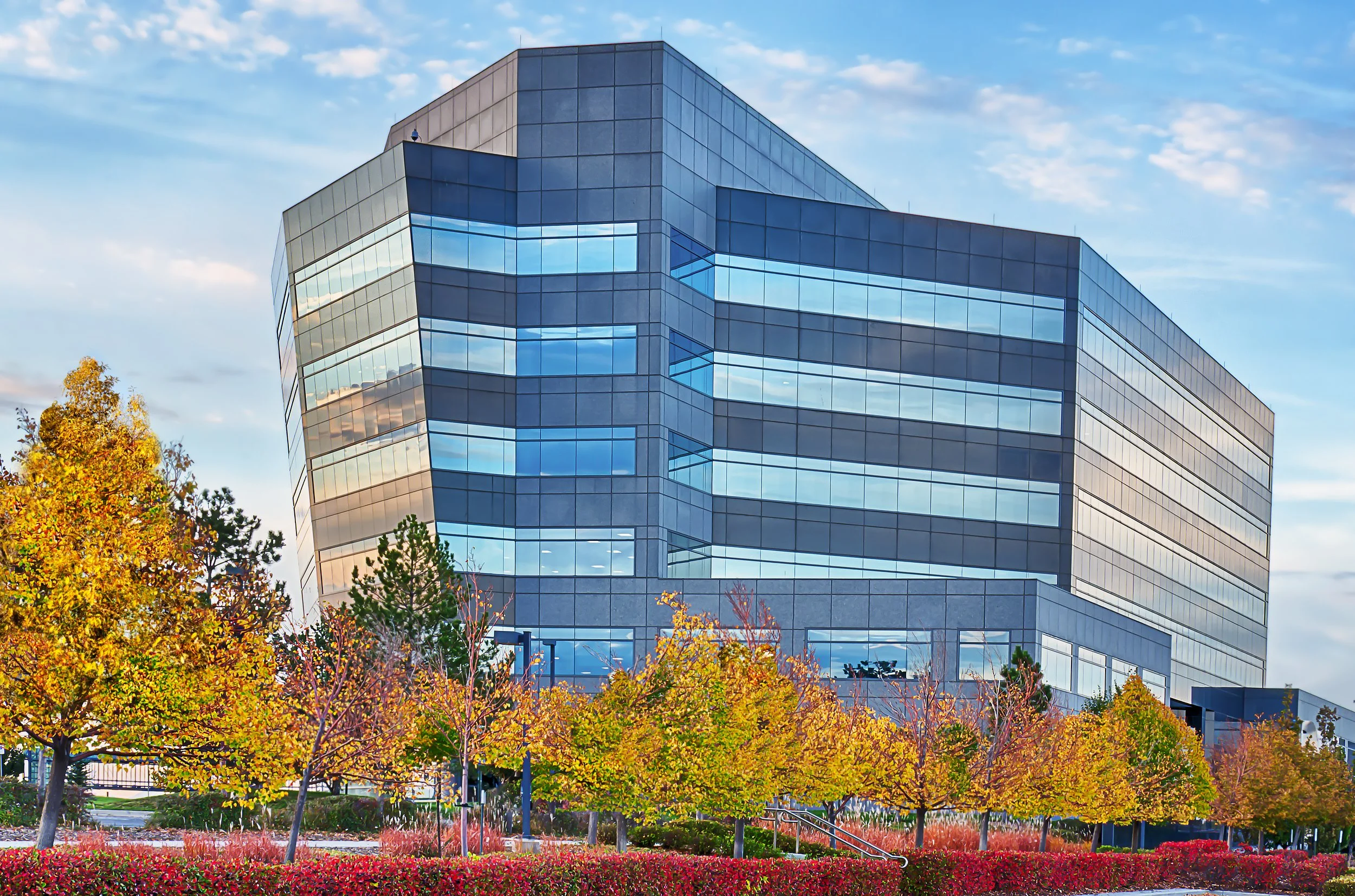 Attempt to comp leaves2-2.jpg