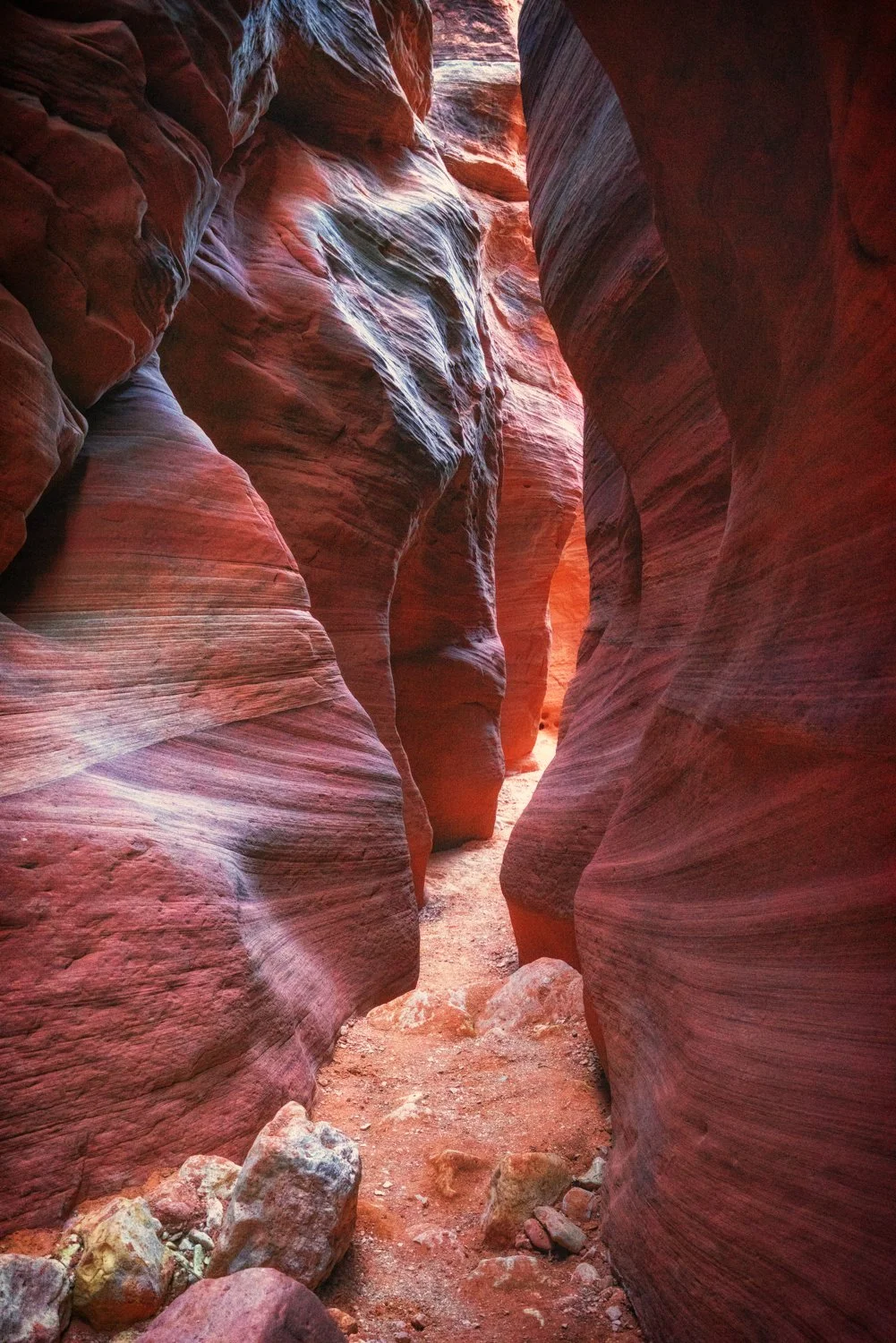 Nature and Landscapes-9.jpg