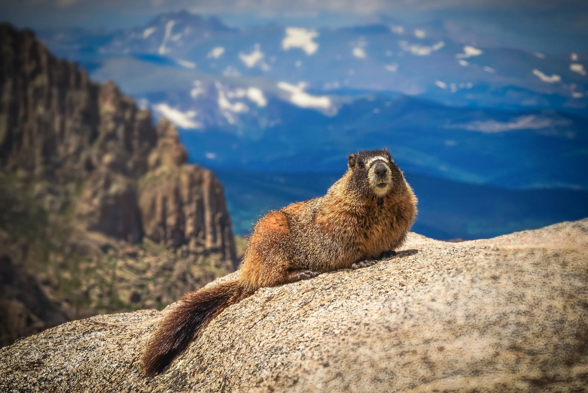 Ghosts of Mount Blue Sky-4-2 - Copy.jpg