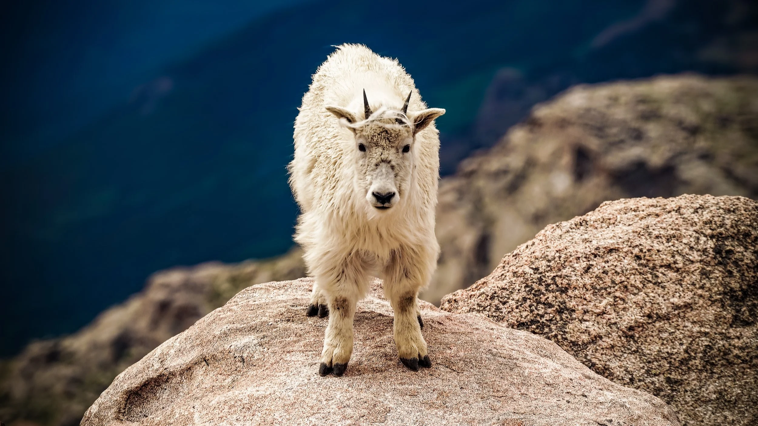 Ghosts of Mount Blue Sky-2-2 - Copy.jpg