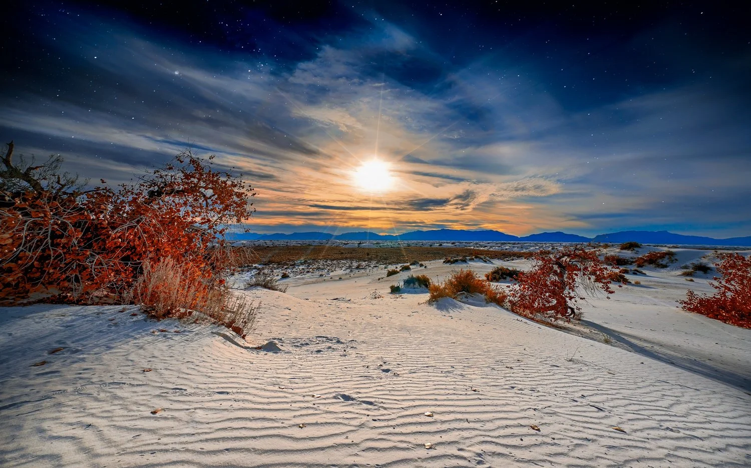 Post Processing-6.jpg