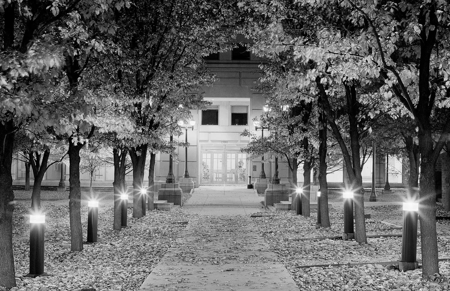 FA13_Mason Saunders_Reciprocity-2.jpg