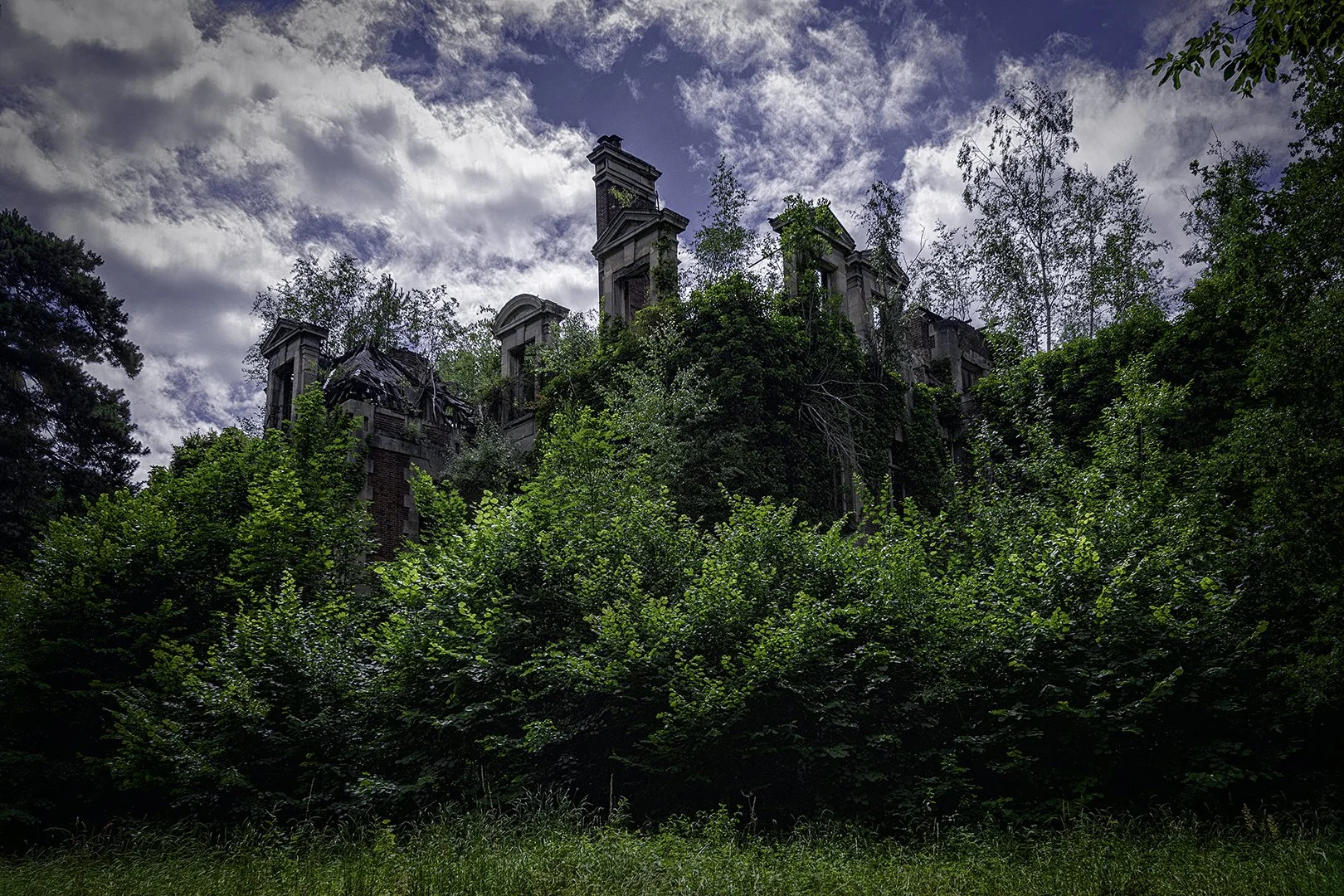Château abandonné envahi par la végétation sous un ciel nuageux