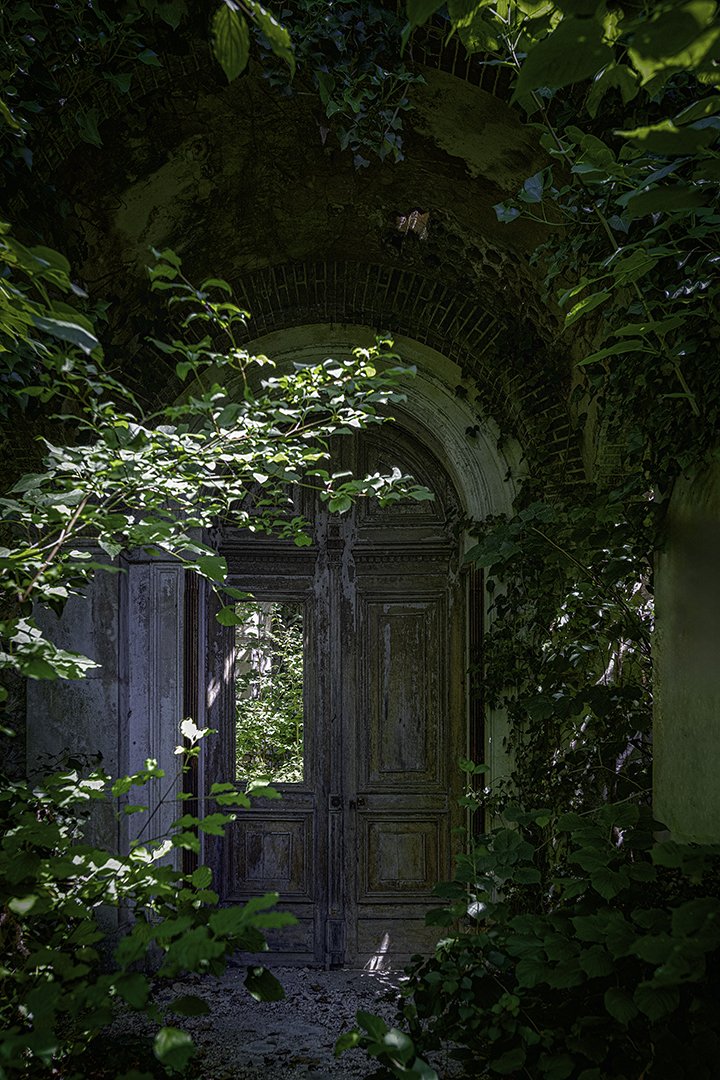 Une vieille porte en bois dans un mur de pierre, entourée de végétation dense et de feuillage.
