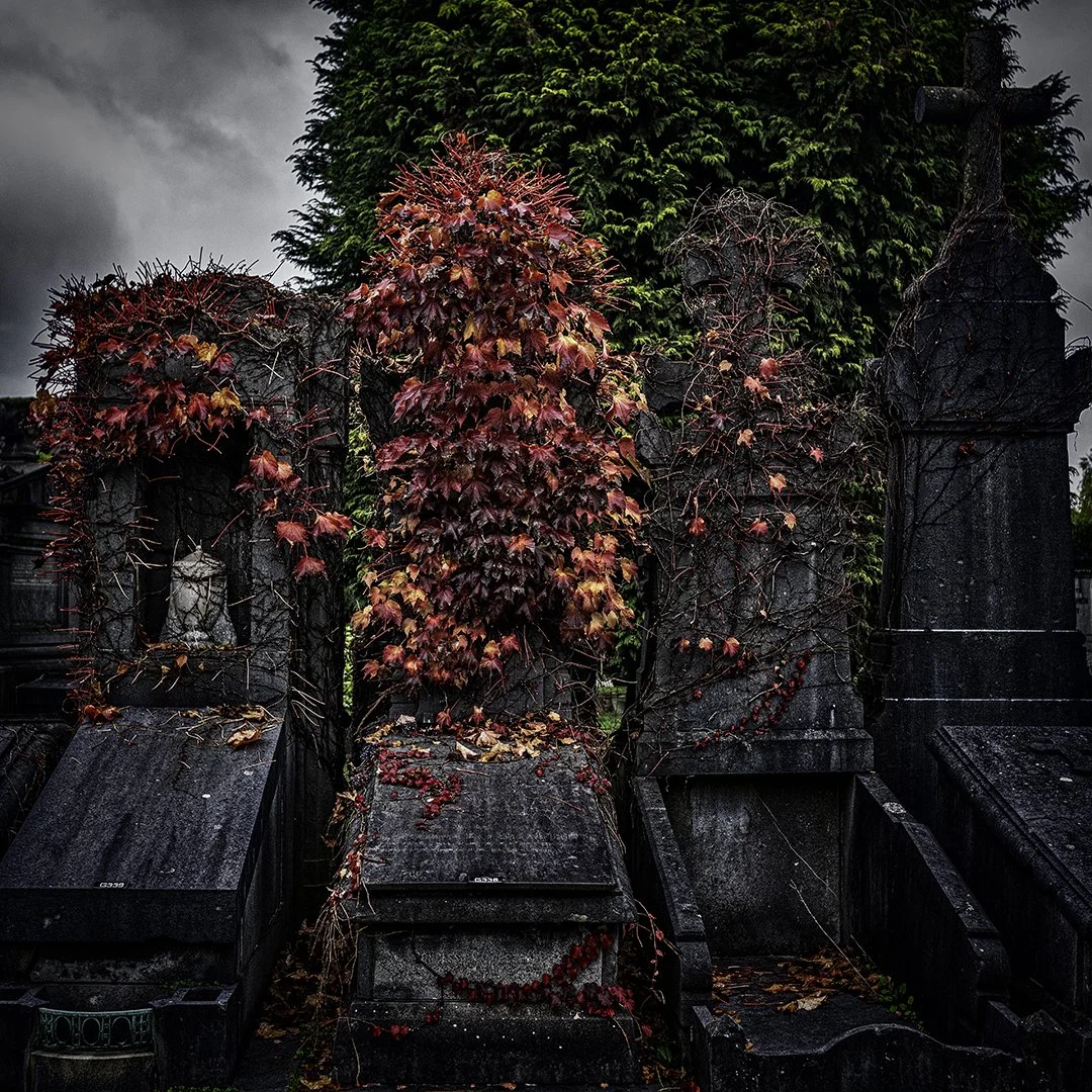 tombeau ancien couvert de lierre rouge et de feuilles mortes dans un cimetière