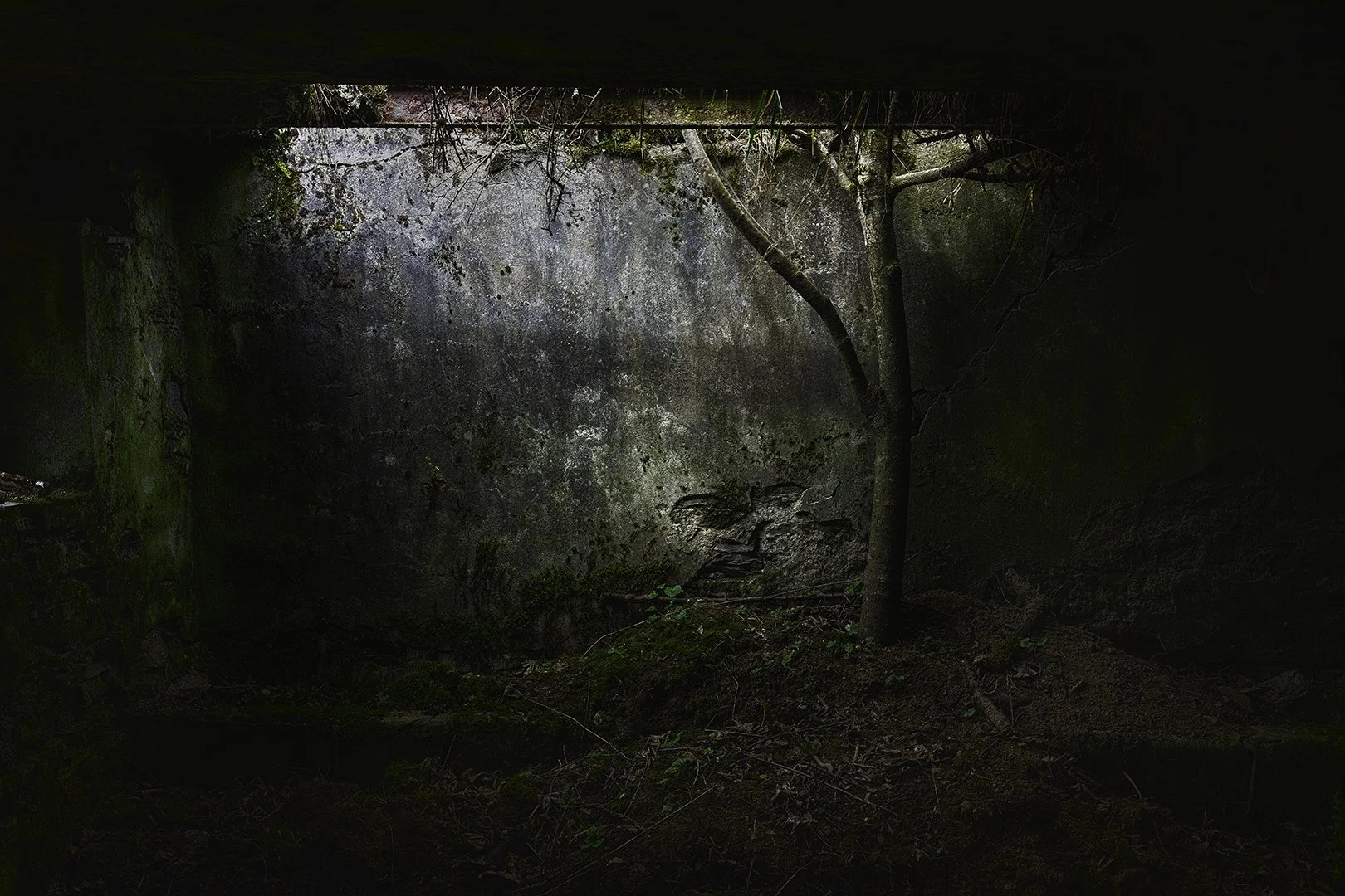 Une scène sombre et abandonnée avec un mur en pierre recouvert de mousse, un arbre poussé à travers le sol, et des branches d'arbres au plafond, évoquant un lieu mystérieux ou abandonné.