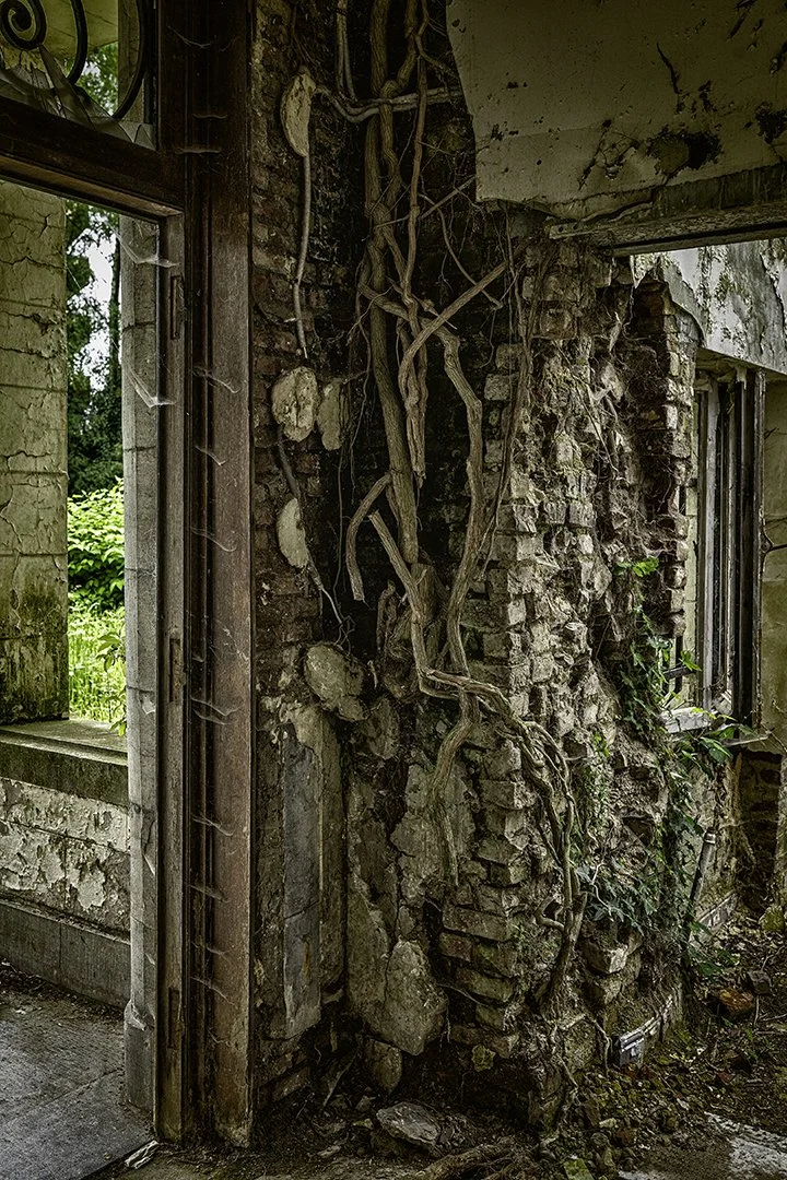 Une vieille muraille en briques et pierre avec des racines d'arbre qui y poussent, des fenêtres cassées et une partie de la structure endommagée.