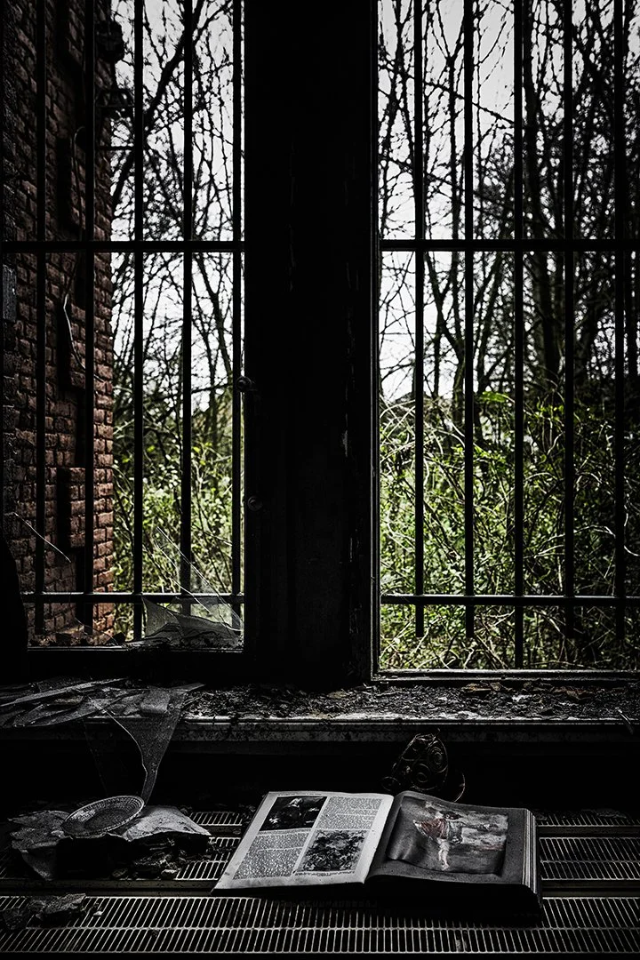 Une fenêtre en fer forgé cassée avec des poussières et des toiles d'araignée, une fenêtre ouverte sur une végétation dense, avec un livre ouvert et un magazine abîmés posés sur une surface poussiéreuse à l'intérieur.