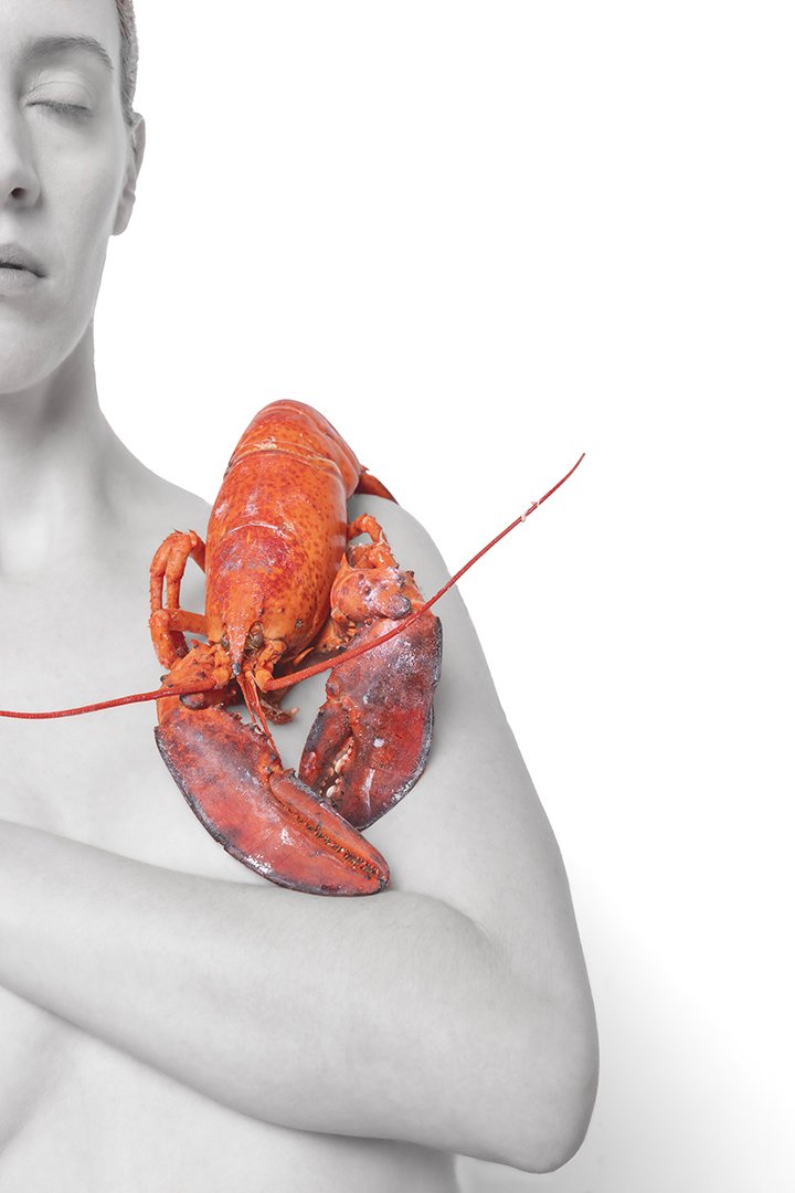 Une personne nue avec une moitié du visage visible tient un homard  sur son épaule, le fond est blanc.
