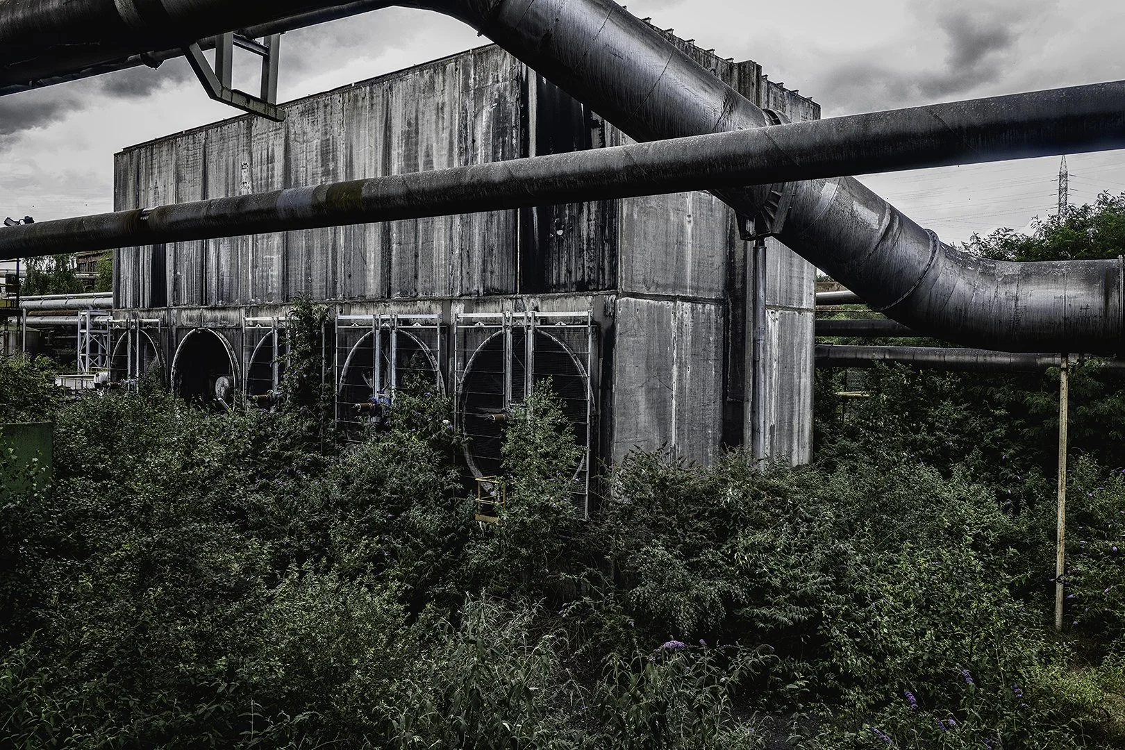 Une usine industrielle avec de grandes conduites en métal et une façade en béton, entourée de végétation dense, sous un ciel nuageux.