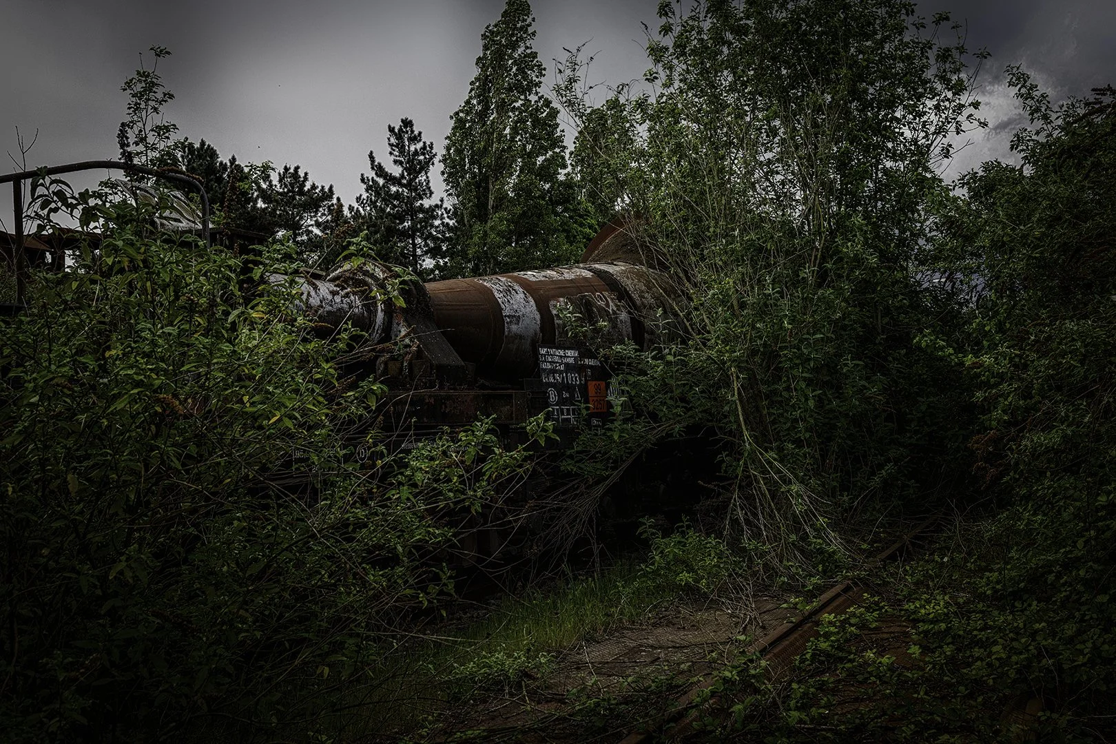 Un vieux train abandonné envahi par la végétation, avec des arbres et des buissons autour sous un ciel nuageux.