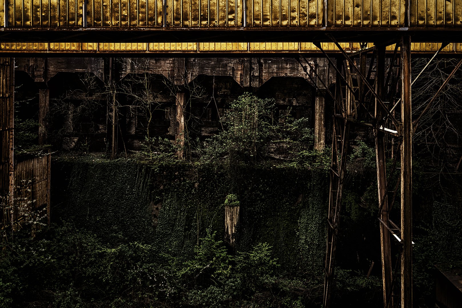 Une vieille structure abandonnée en acier rouillé avec des plantes qui poussent à travers, entourée d'une nature envahissante.