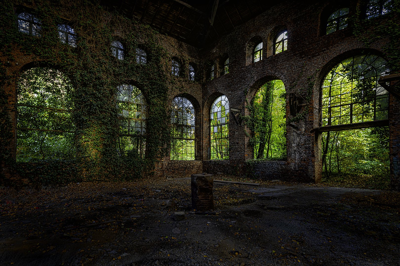 Intérieur d'une ancienne usine abandonnée avec des murs en briques et de grandes fenêtres en verre, dont certaines sont cassées, laissant entrer la lumière et la végétation extérieure qui pousse à l'intérieur.