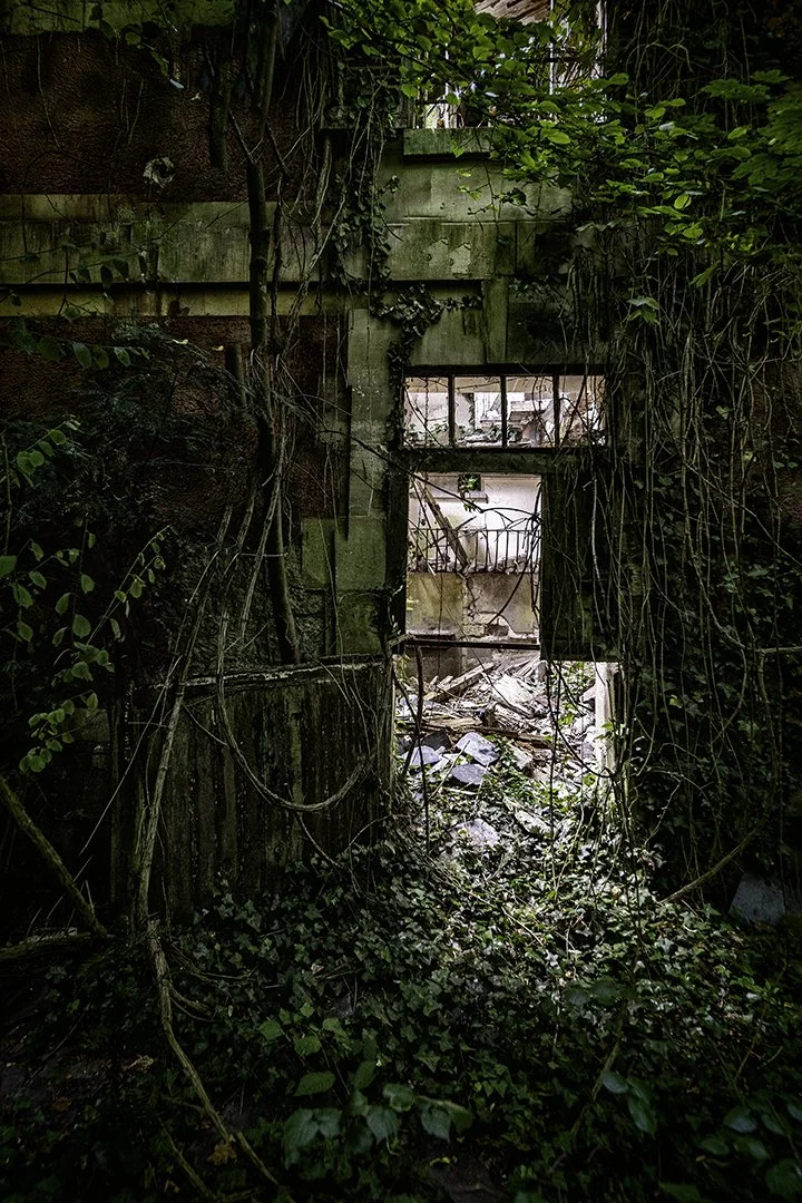 Mur en délabrement envahi par des plantes et des vignes, avec une vieille porte en arrière-plan, laissant entrevoir un intérieur abandonné rempli de débris.