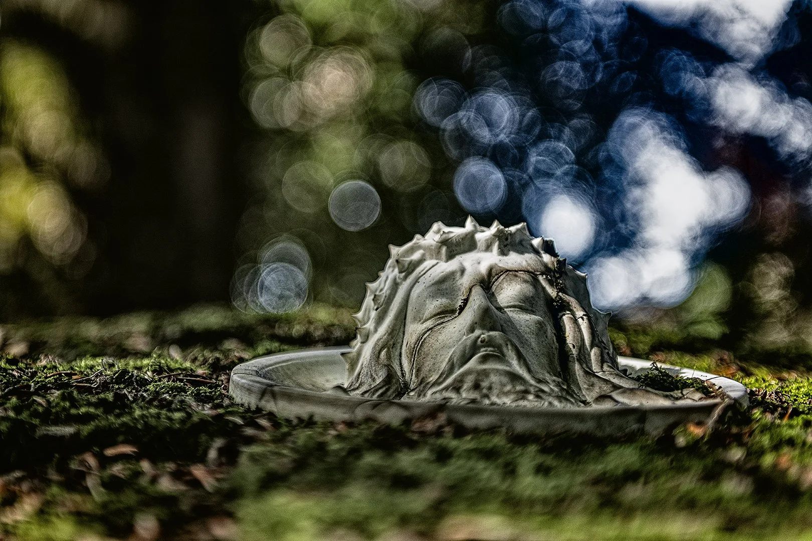 Détail d'une pierre tombale, avec un fond flou d'arbres et de lumière naturelle, créant un effet de bokeh.