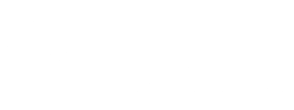 Basen Logo