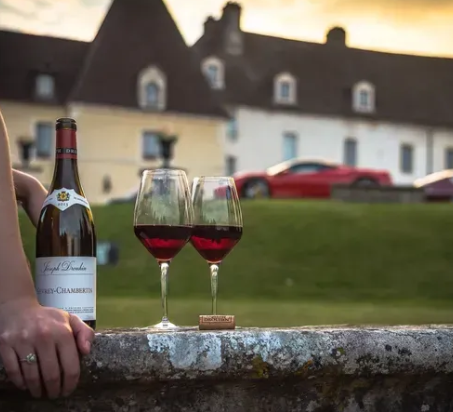 Wine Tasting Tour in Spain
