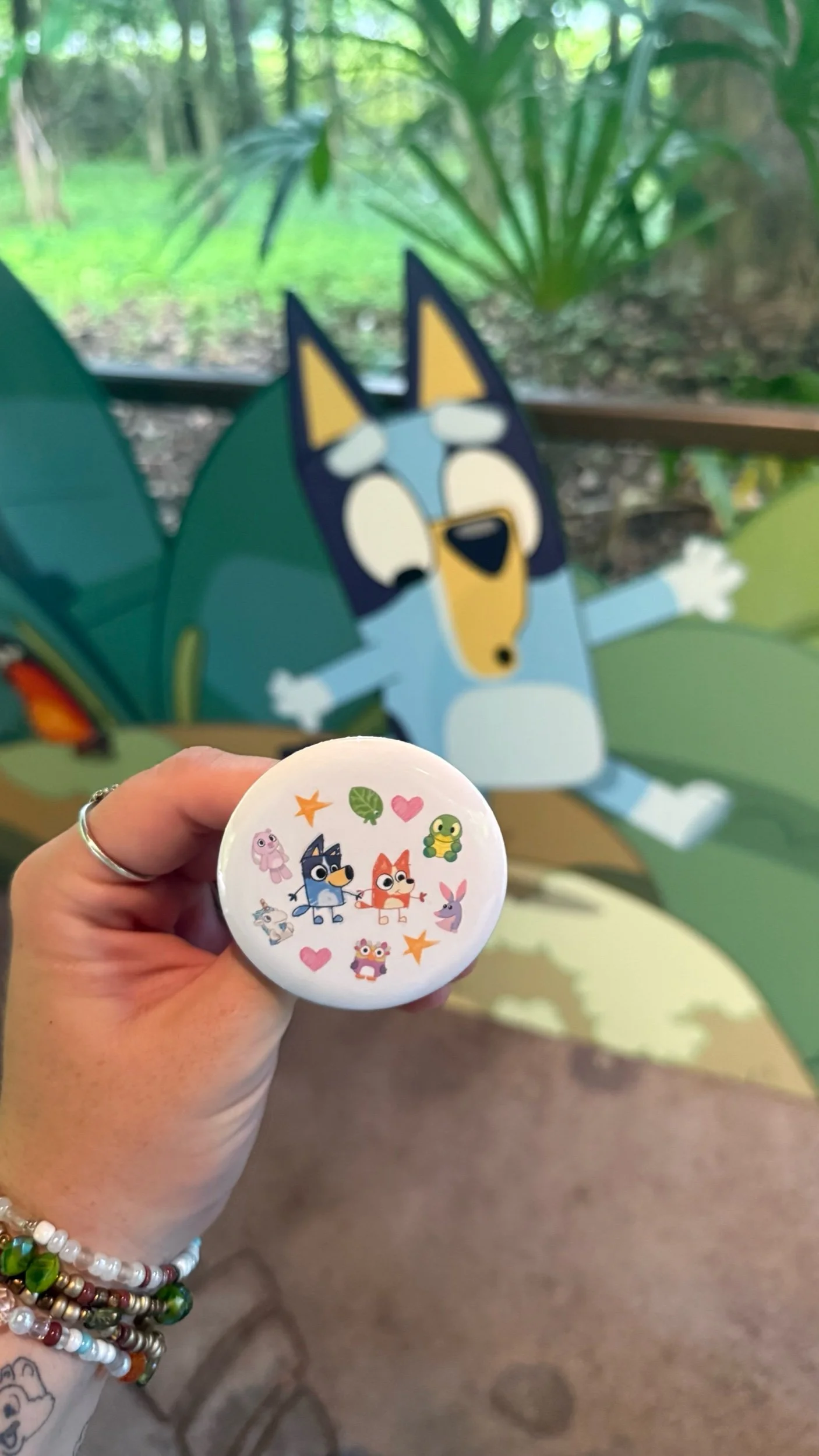 Bluey Sisters Button