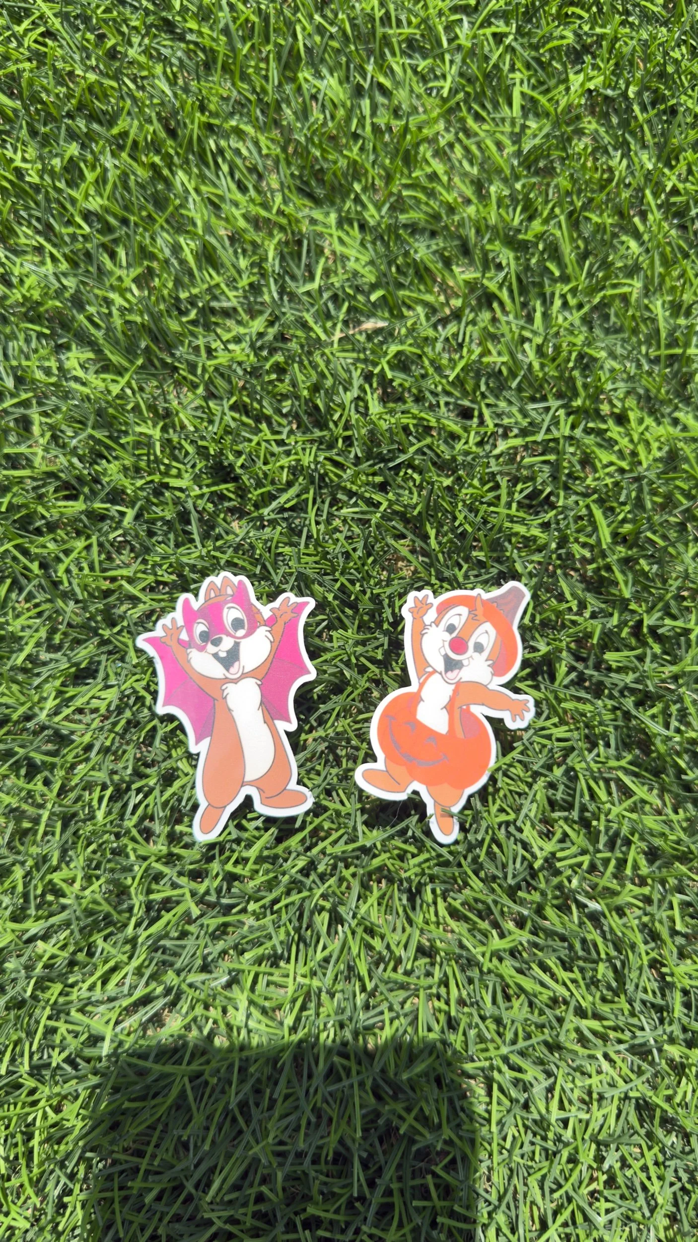 Chipmunk Stickers