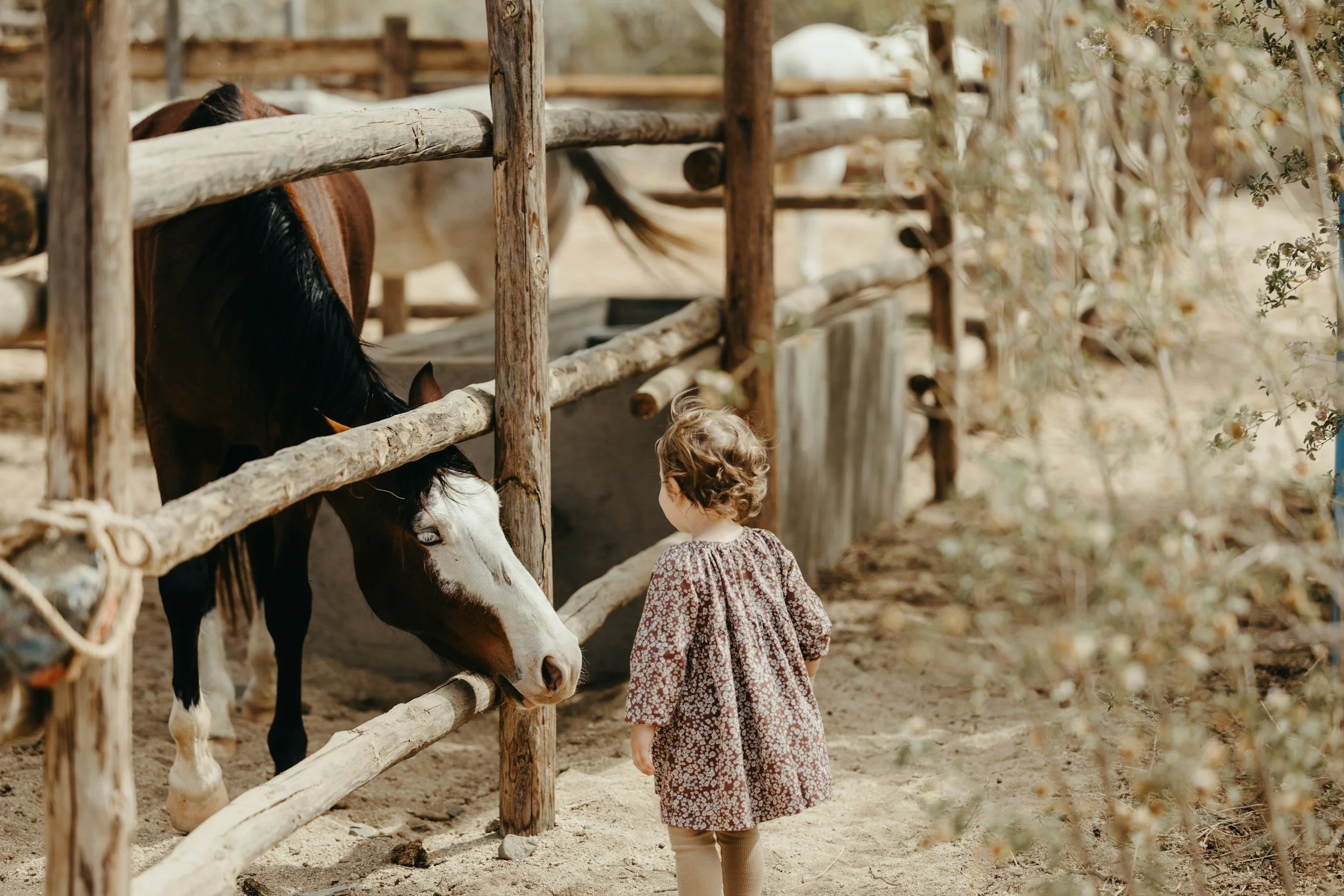 A young girl with curly hair in a floral dress is looking at a horse through a rustic wooden fence.