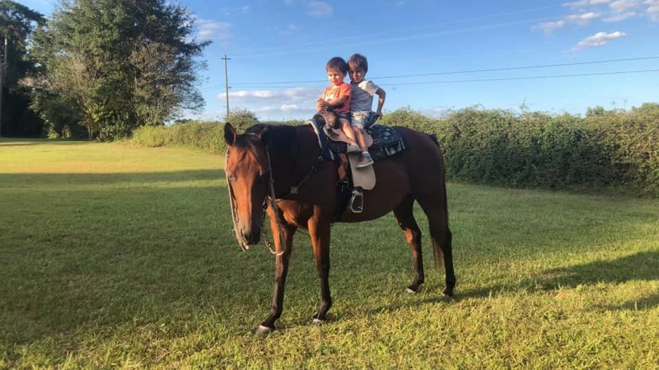 Two children sitting on a brown horse in a grassy field with trees and a blue sky in the background
