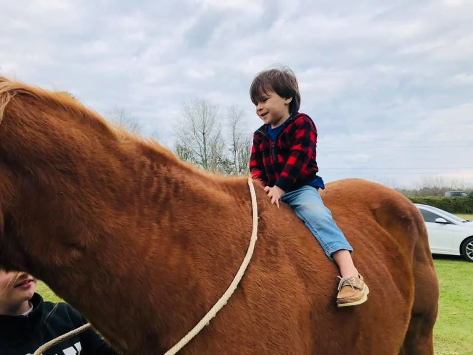 A young boy with dark hair riding on the back of a brown horse outdoors with a grassy field, trees, and a cloudy sky in the background.