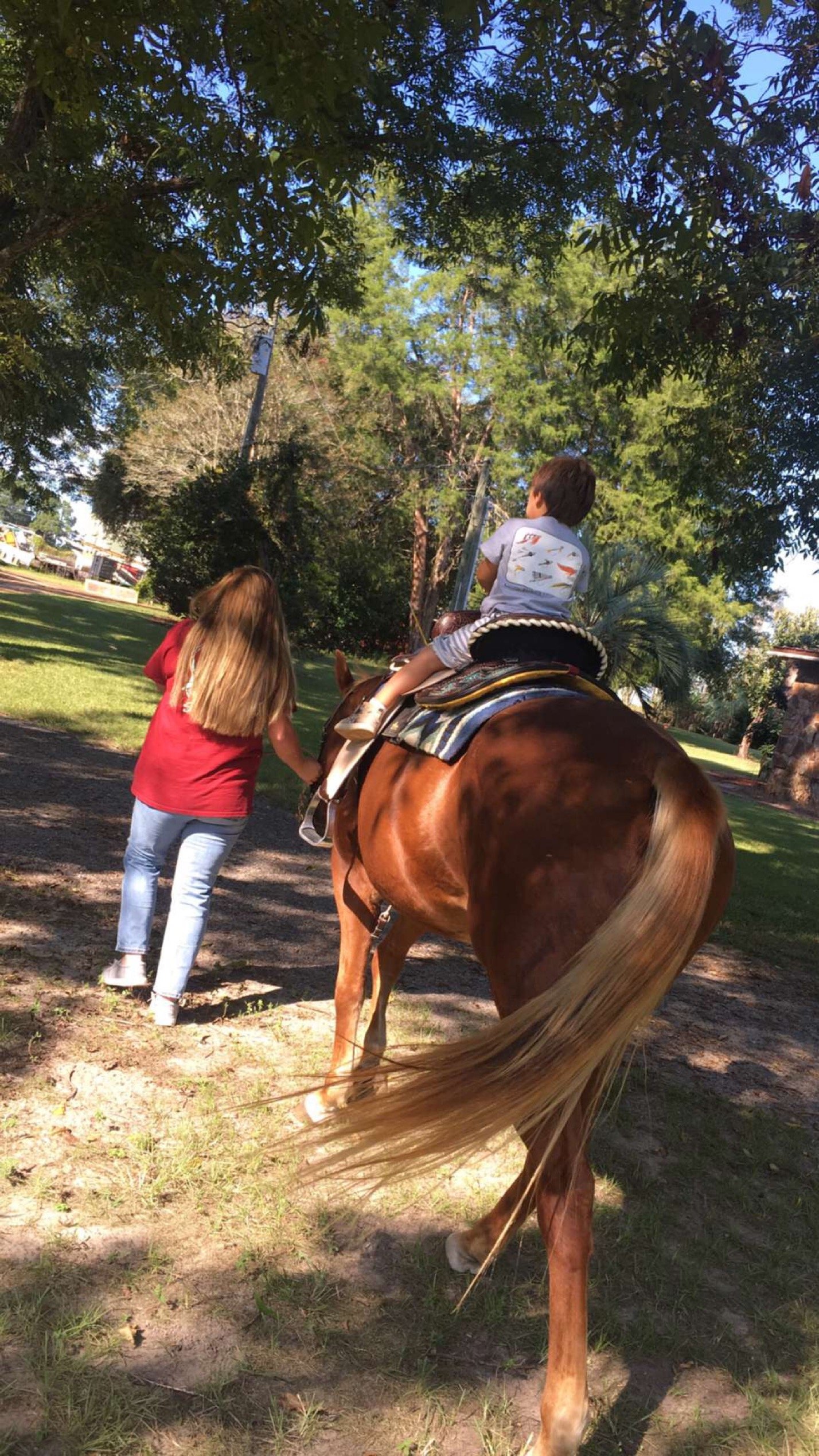 A young boy riding a horse, guided by a woman holding the horse's reins, in a park with trees and grass.