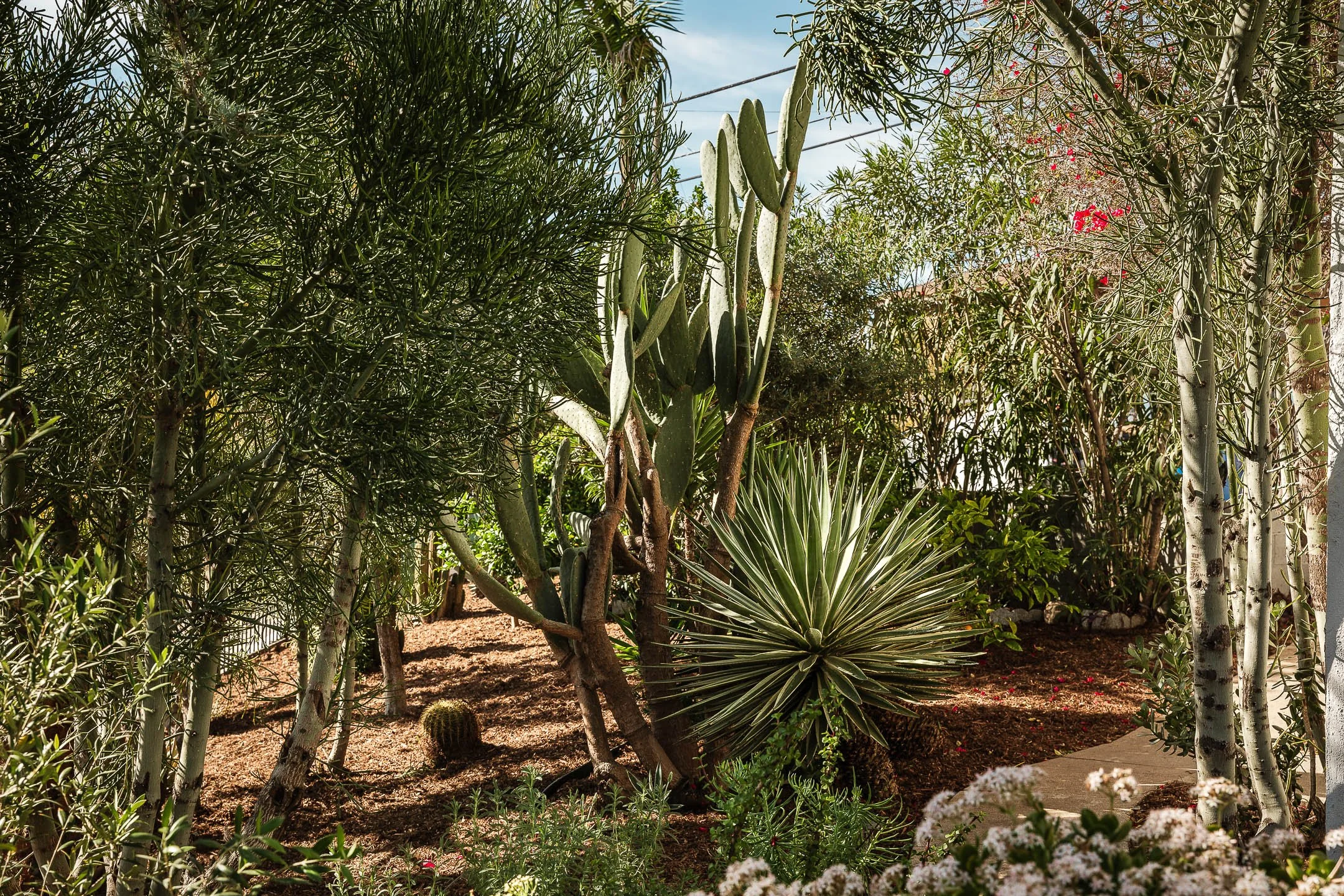 0008 2771 Lytelle MLS.jpg