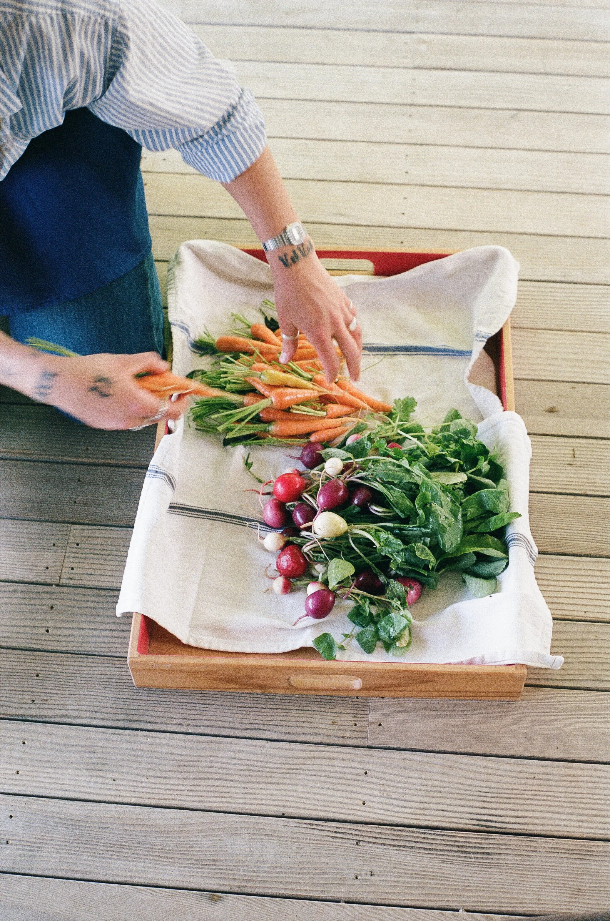 000055420008 copy.jpg