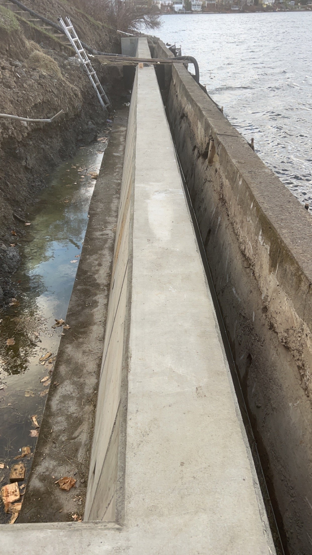 Concrete walkway being constructed along a water body, with retaining wall on one side and construction tools like a ladder nearby.