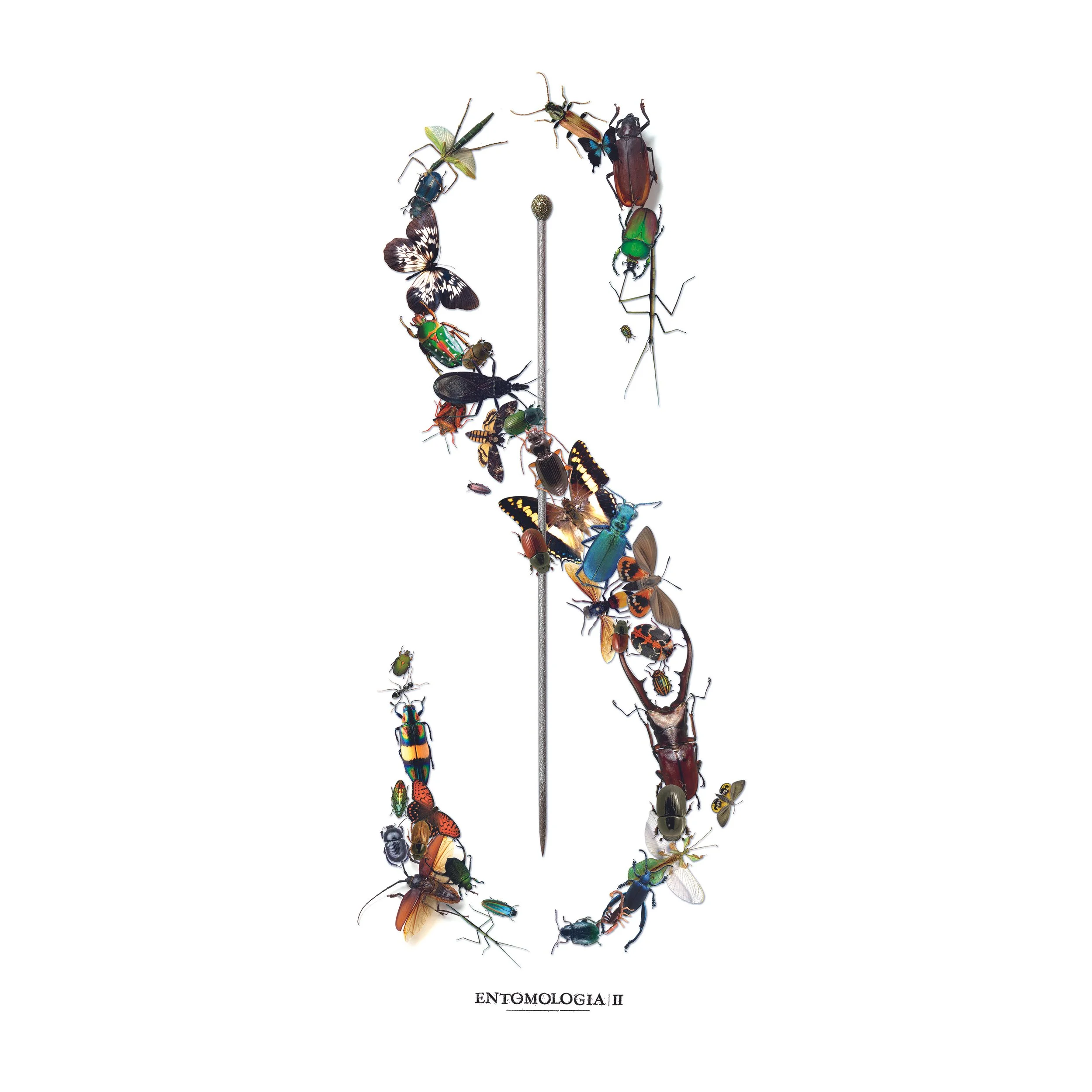 ENTOMOLOGIA II.jpg