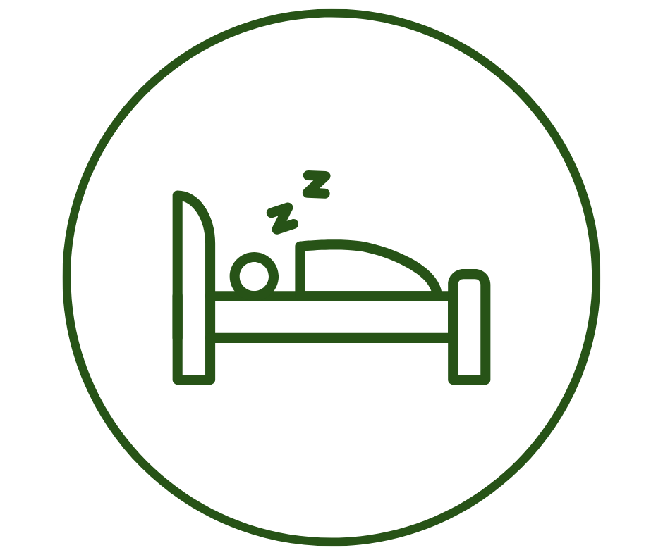 Icon of a person sleeping in a bed with Z's indicating sleep, enclosed in a circle.